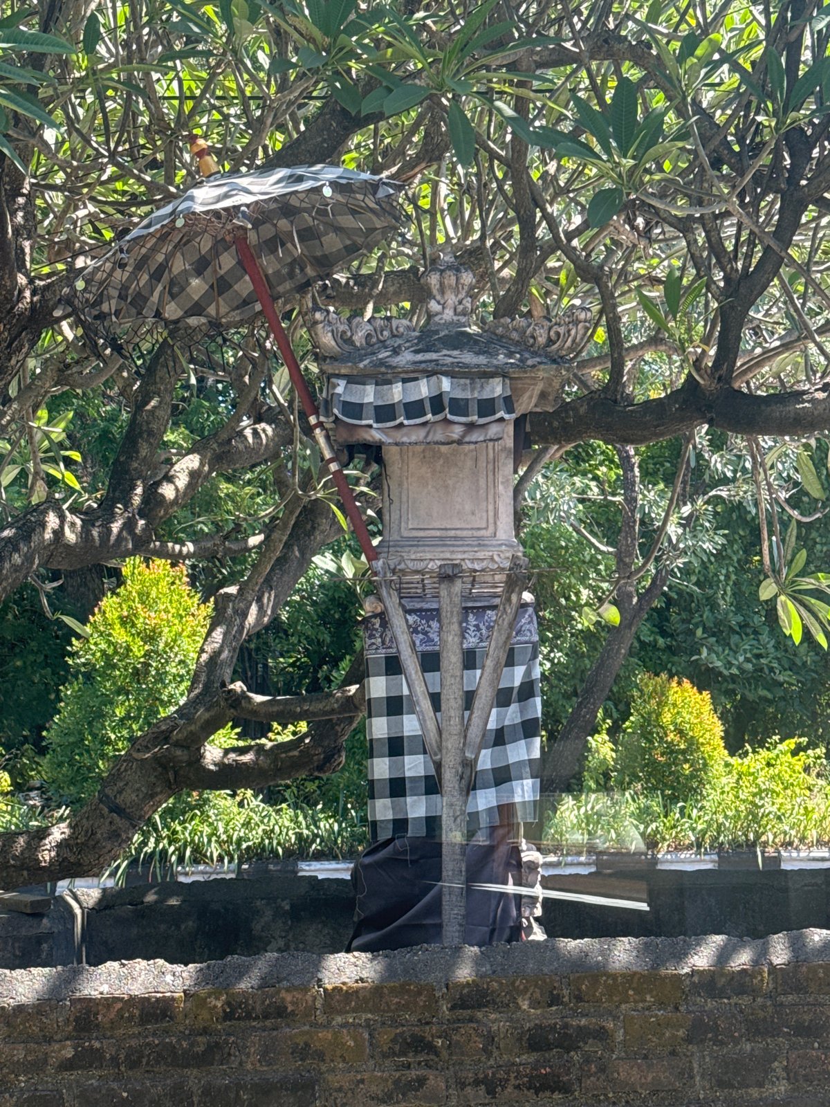Morning scenes documented across Denpasar locations