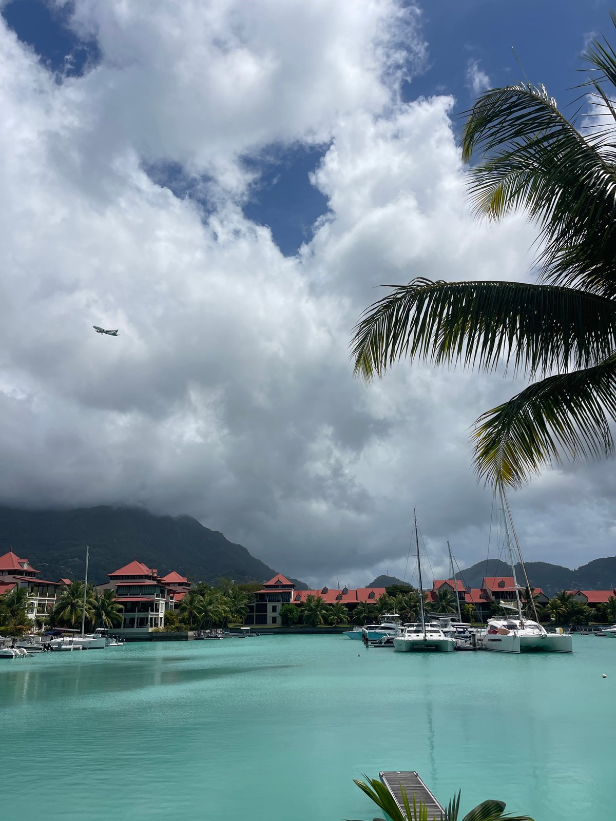 Providence marina seen from above, framed by tropical palms