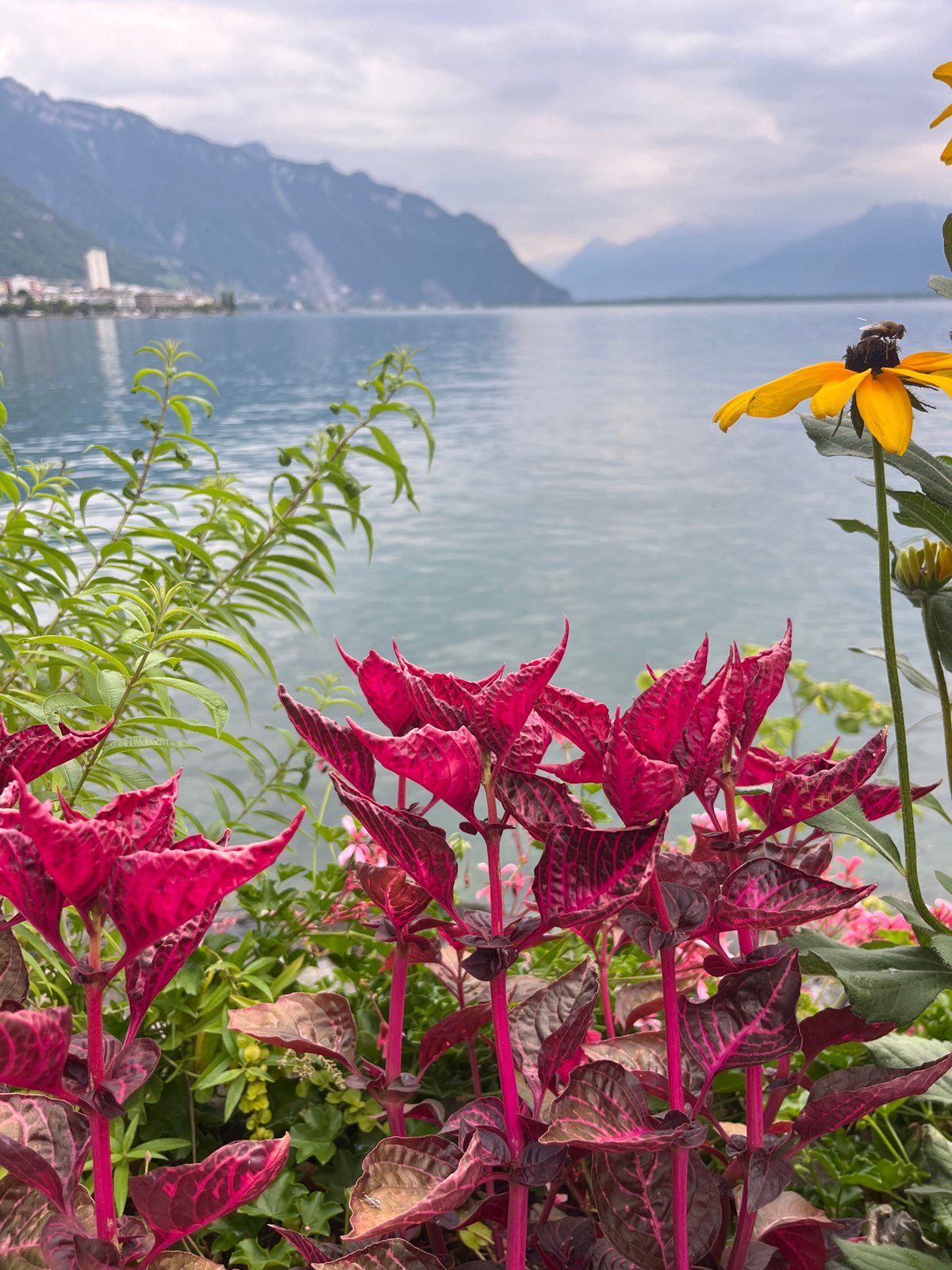 Afternoon stroll along the Montreux lakefront