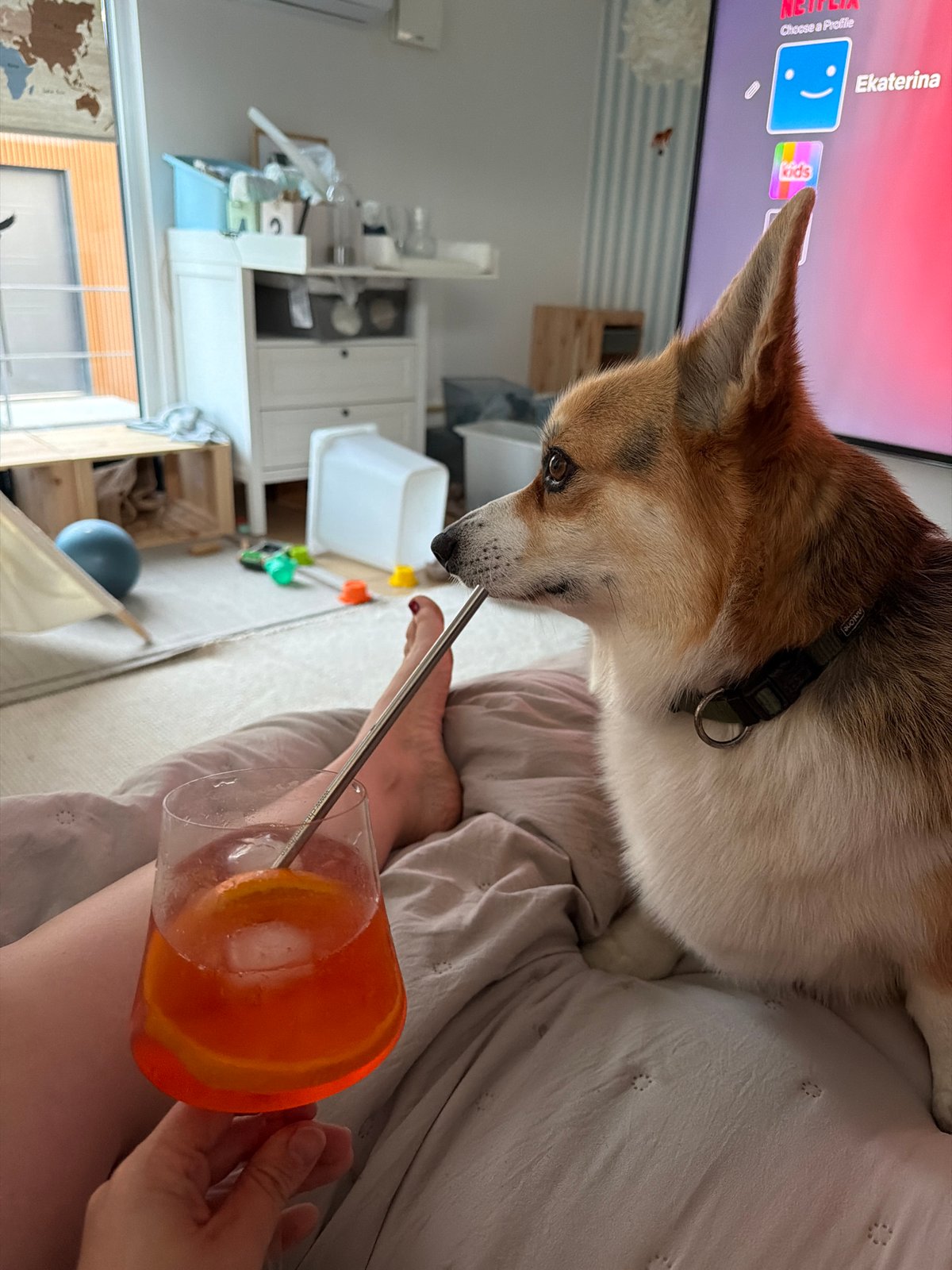 Family shares quiet evening with corgi in Gangloff home