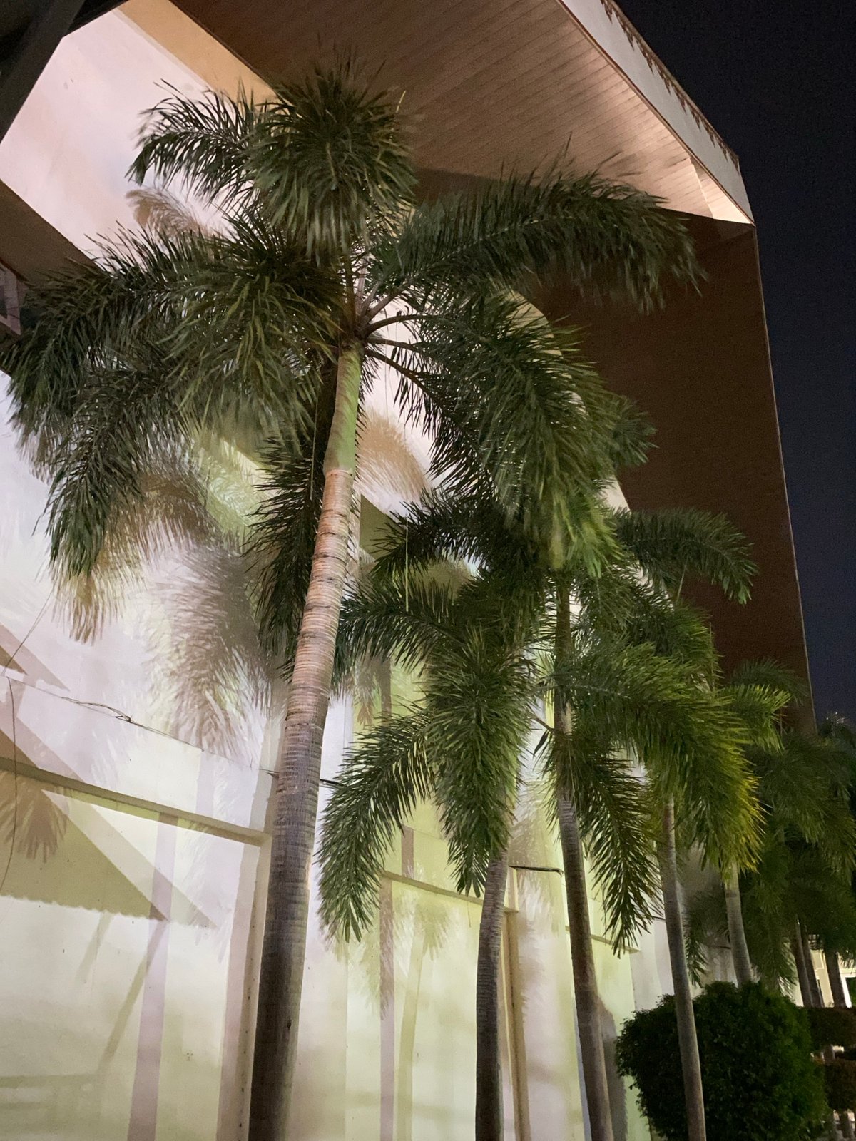 Nighttime scenes around a Banda Aceh mosque and surrounding streets