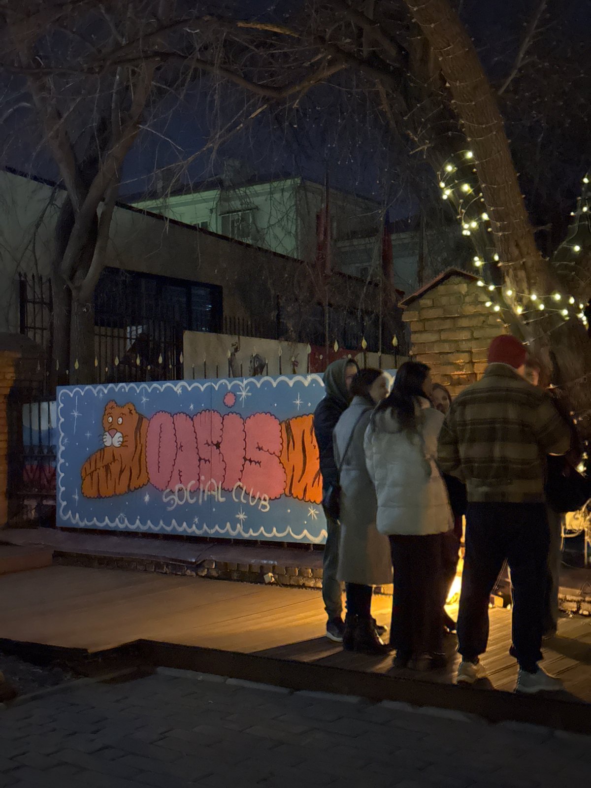 Nighttime documentation of Krasnoyarsk establishments and illuminated architecture