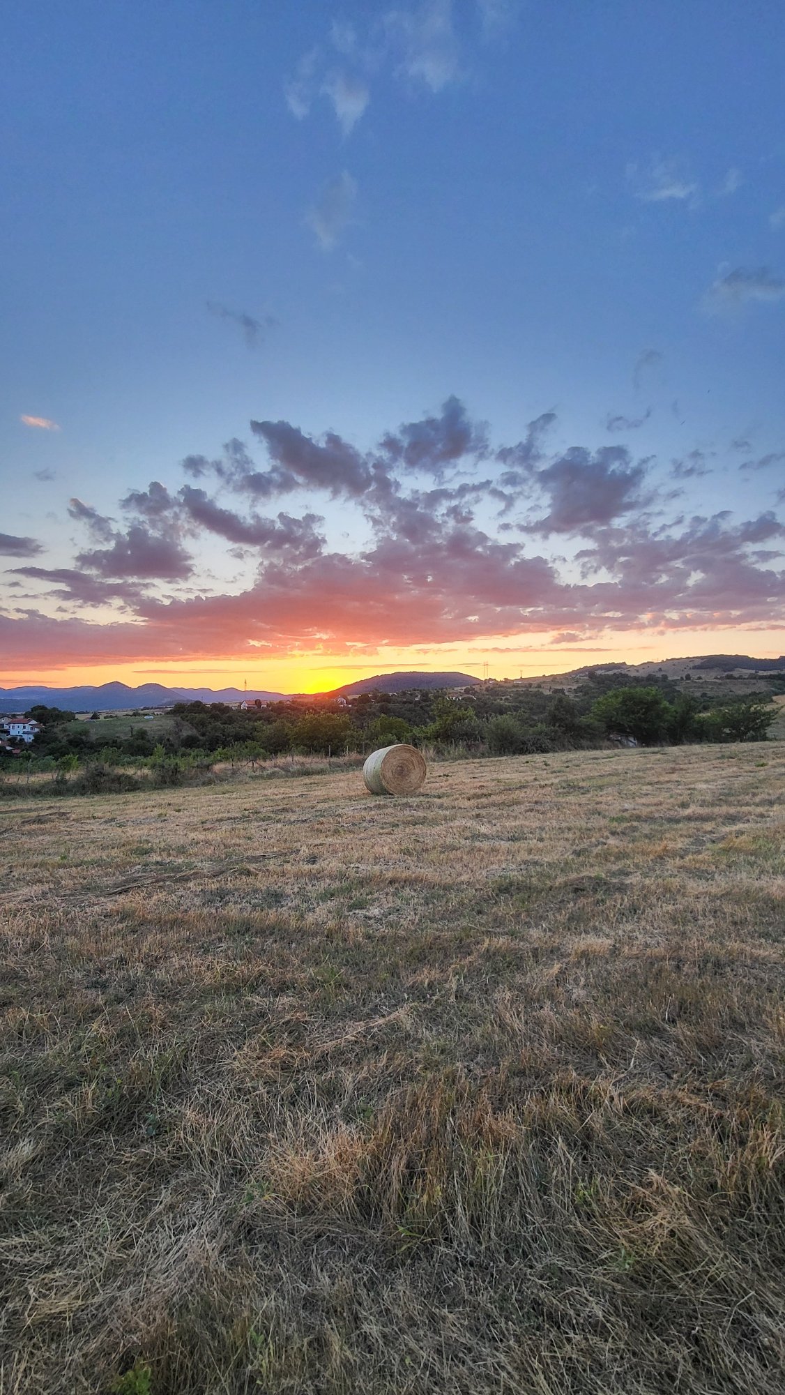 Golden hour in a Bulgarian field, hay bales and a loose dog