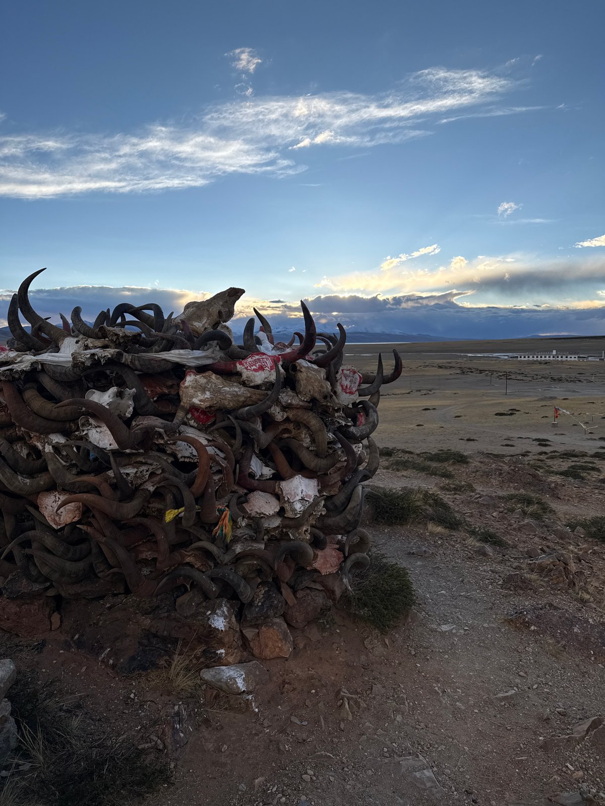 Tibetan religious sites and artifacts documented in Parga town