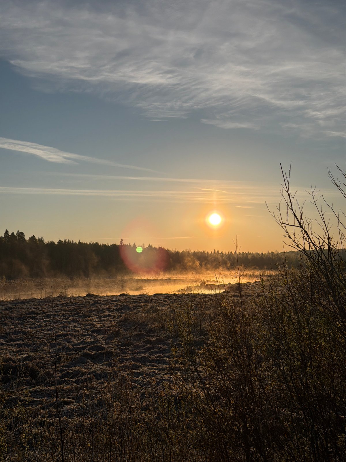 Dawn breaks over misty marsh landscape in Izhevsk