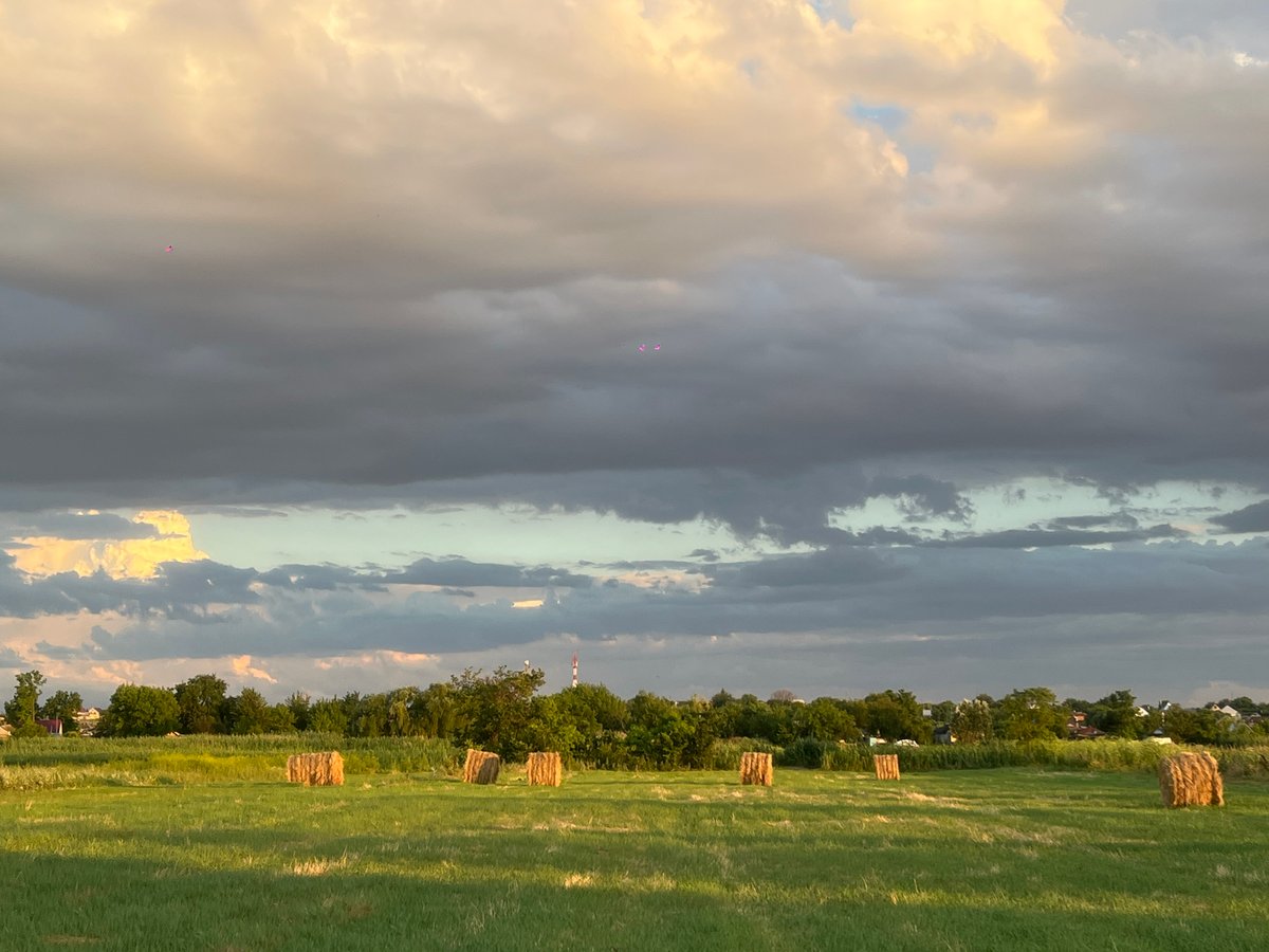 Summer afternoon in a hay-bale field, Novopokrovskaya