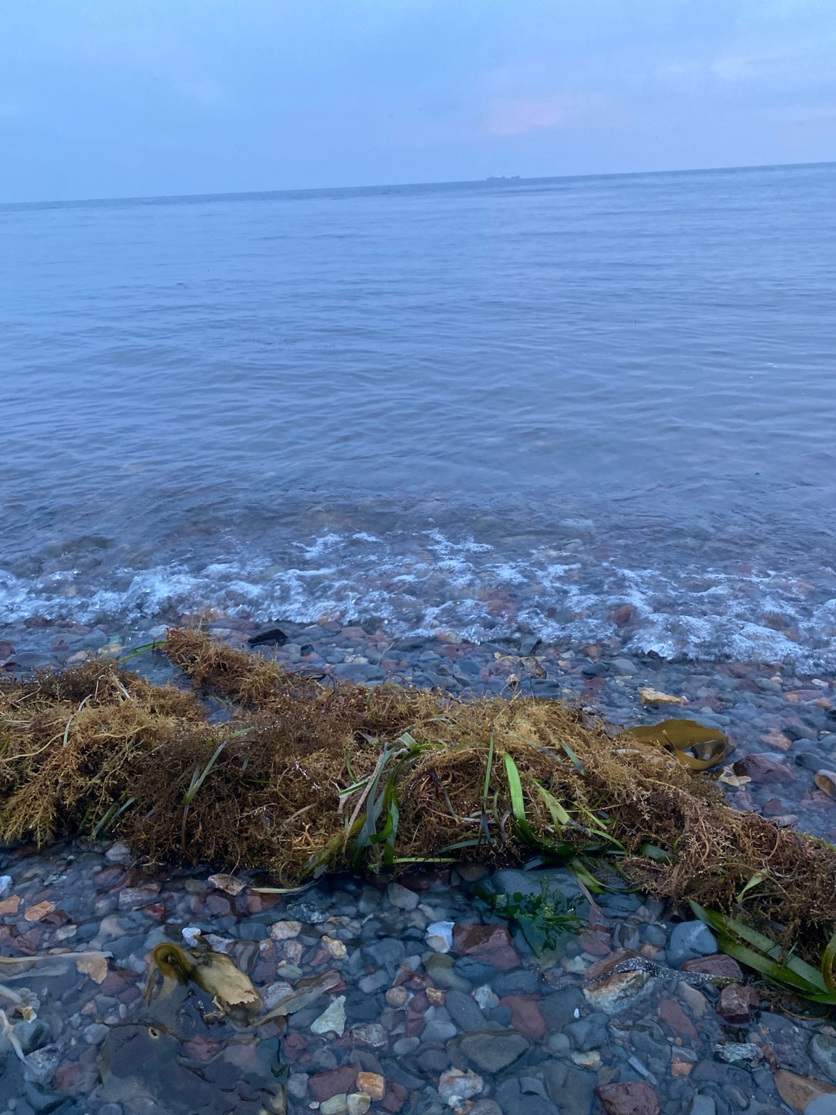Rocky Okhotsk shoreline explored up close, Korsakov