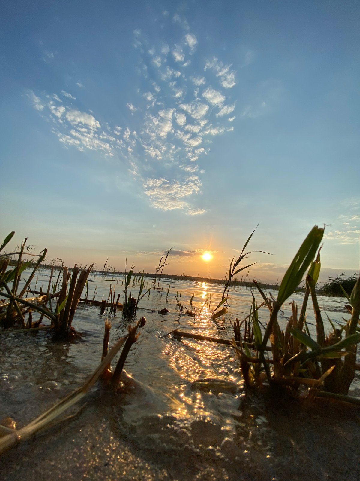 Sunset by the water: lakeside relaxing and a live piano performance