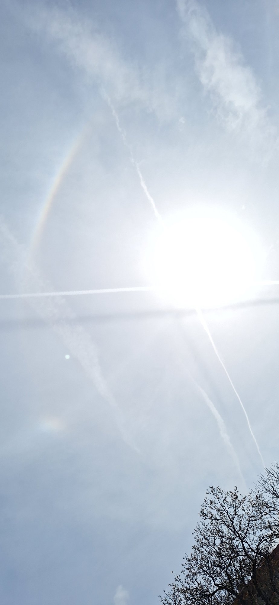 Solar halo and contrail crosses observed over Blagoevgrad, Bulgaria