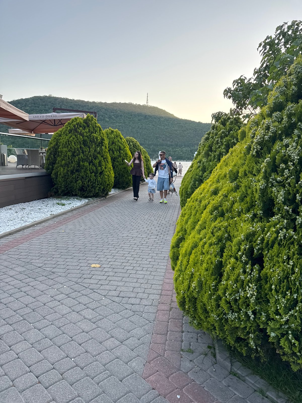 Lakeside violin performance at Abrau-Dyurso resort town