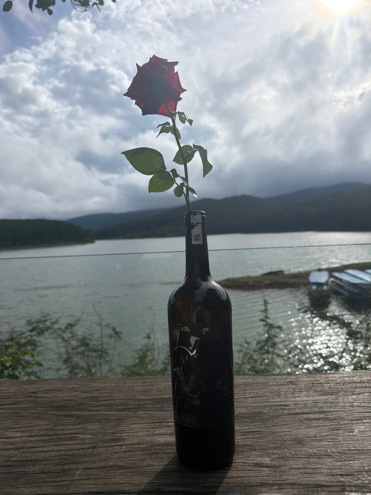 Lakeside café morning in Da Lat with drinks and a poodle