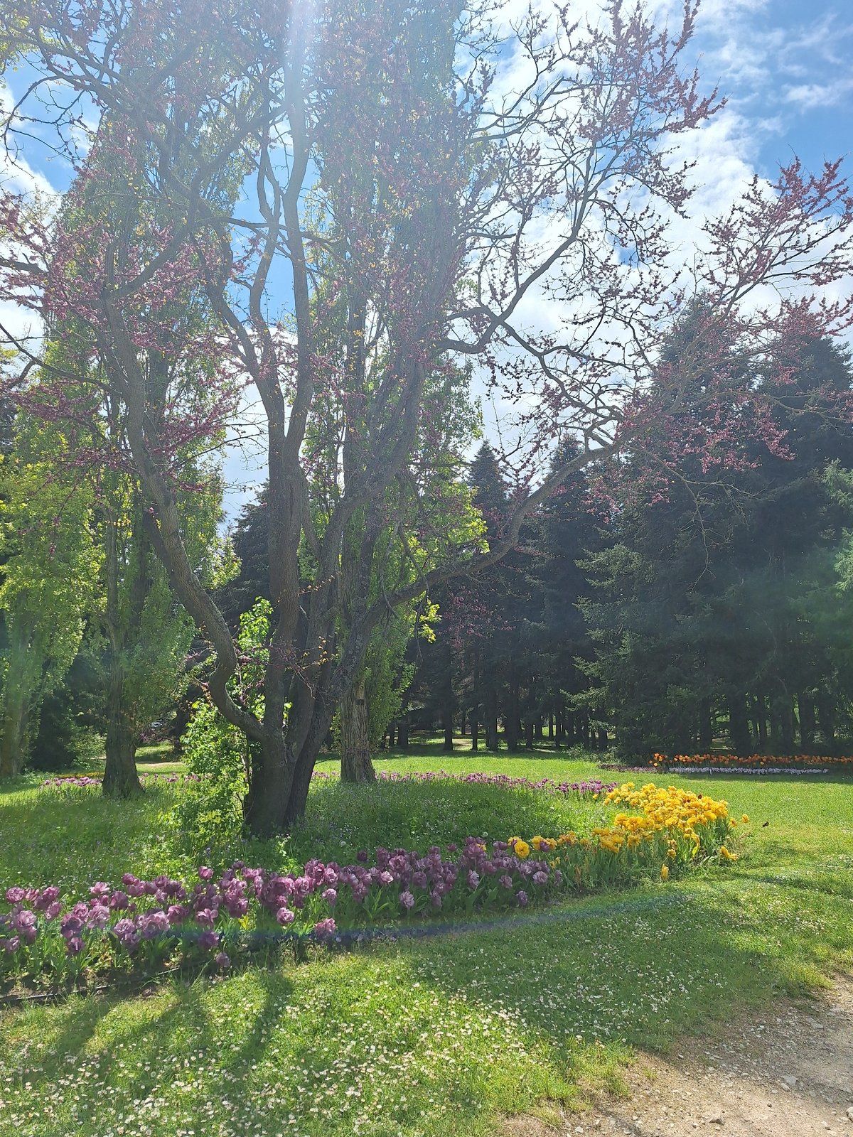 Spring morning walk through Varna botanical gardens documented
