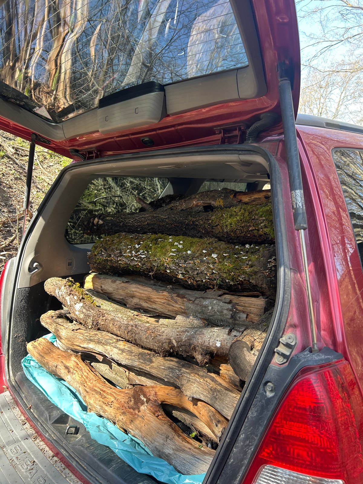 Car stuck during wood collection in Bulgarian forest