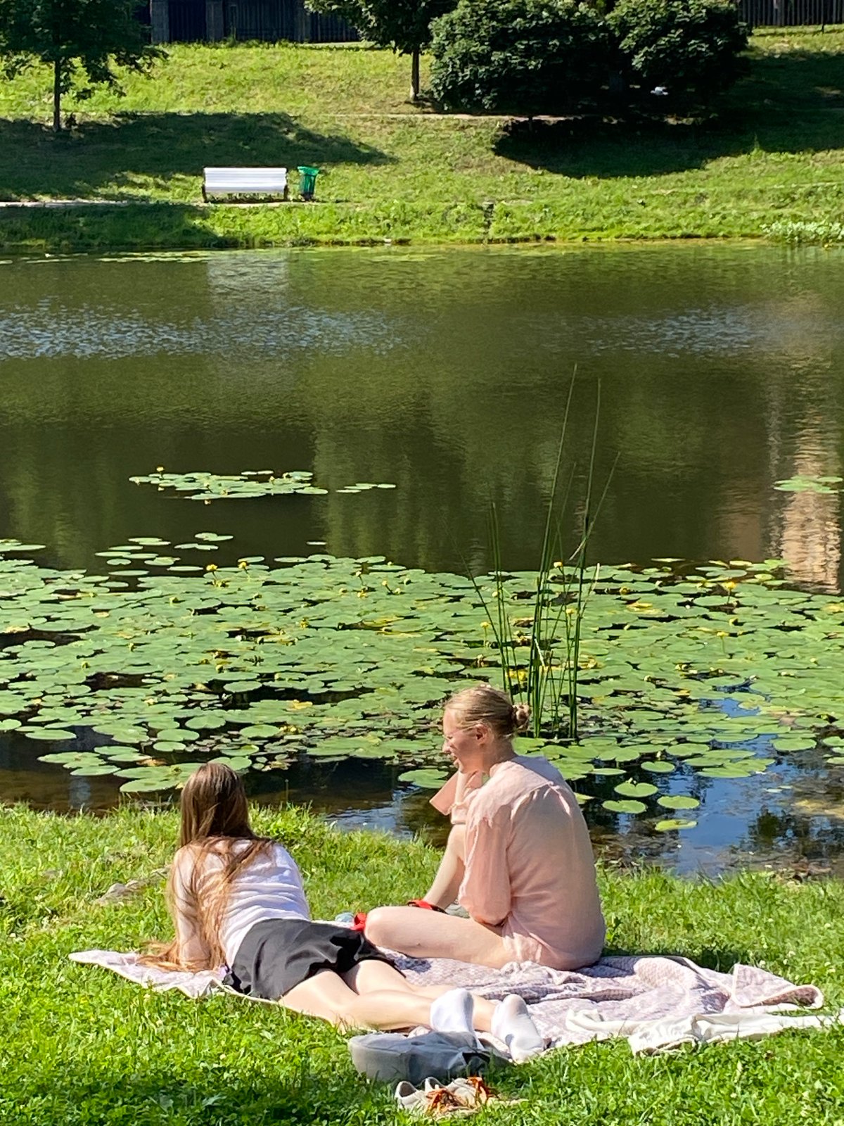 Lazy summer afternoon at a lily pad pond in Saint Petersburg