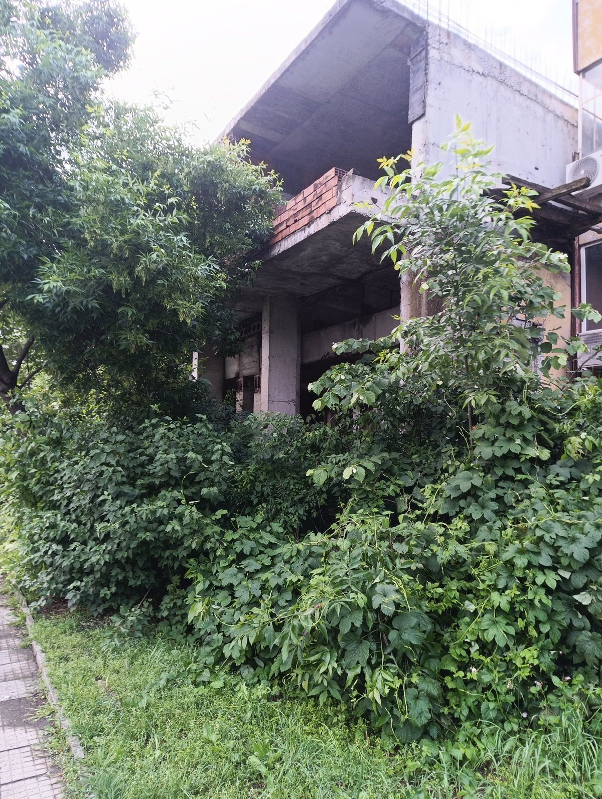 Abandoned building and Bulgarian newspaper objects documented same location