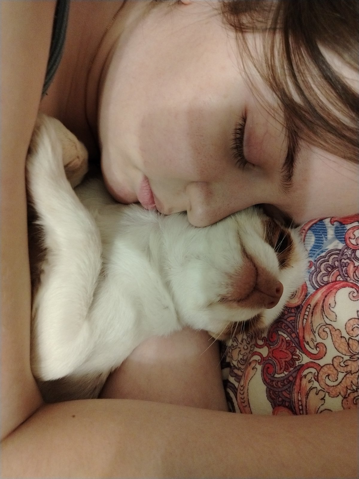 Pets and people at rest in Krasnoyarsk