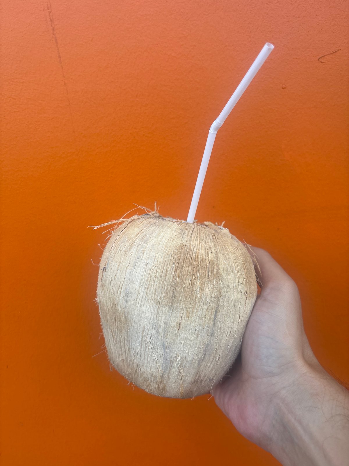 Witness captures coconut drink, coastal view, metal toy moments