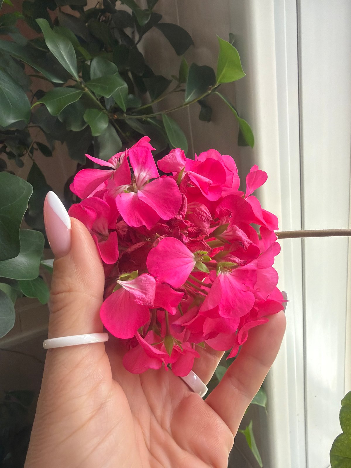 Spring moments captured in Chaikovsky: flowers and sky views