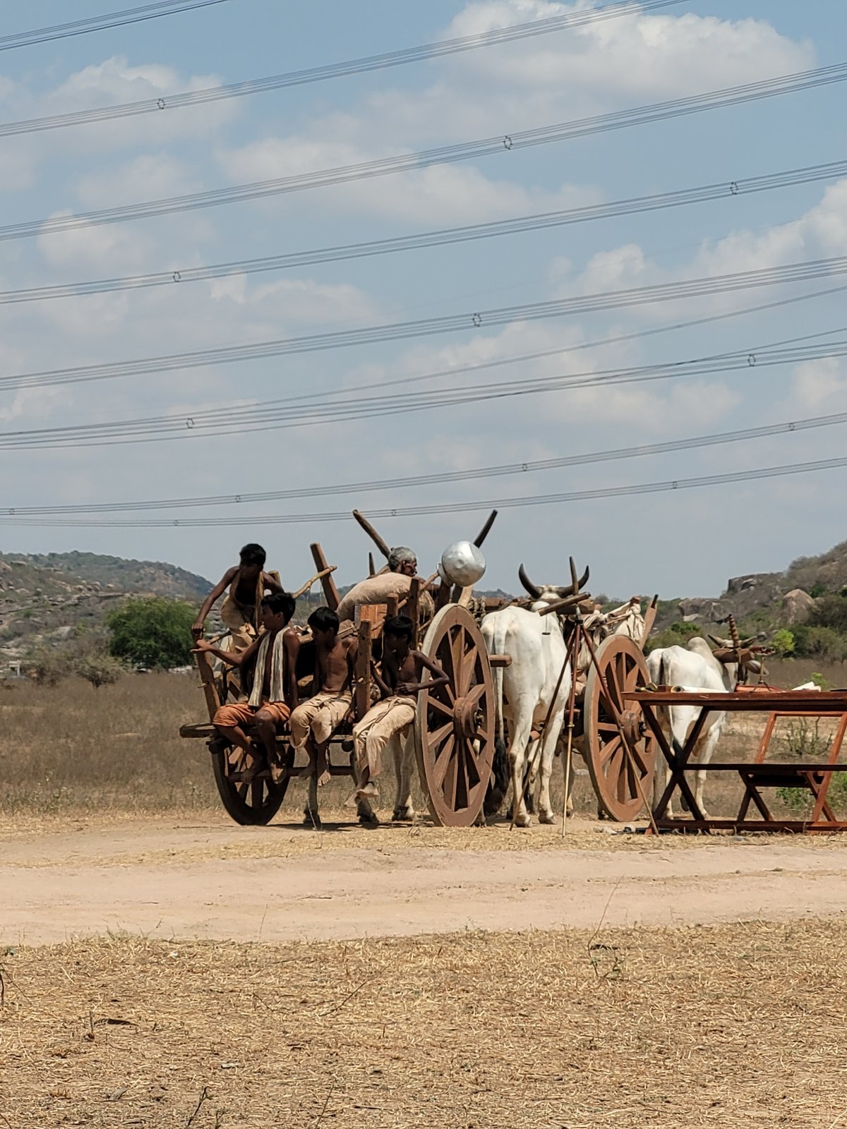 Ox-drawn cart procession observed on rural dirt road