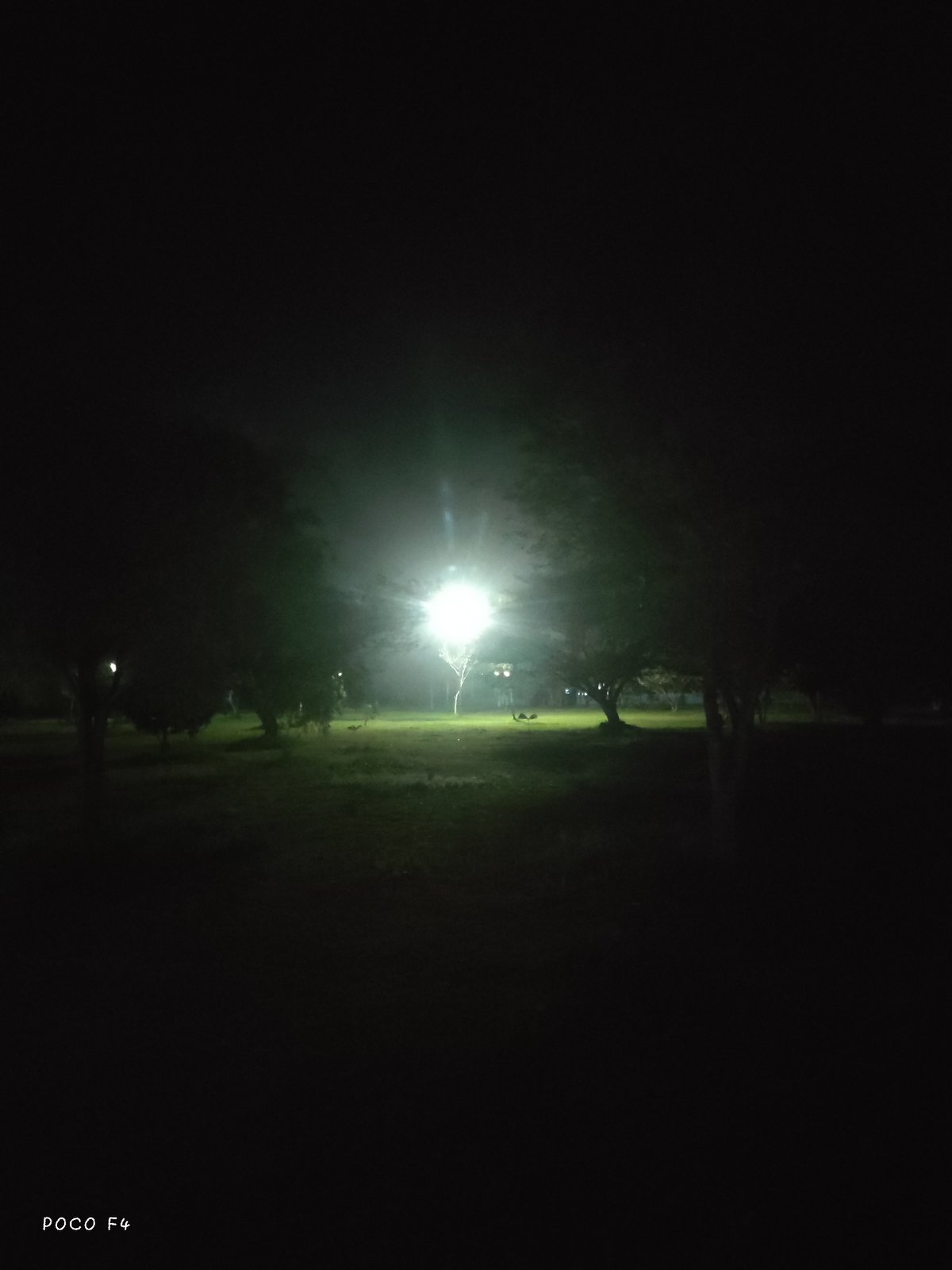 Nighttime scenes around a lit toll booth and roadside greenery
