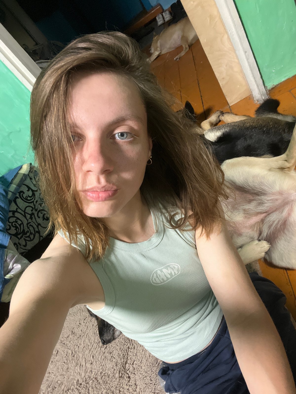 Woman takes extended selfie session with dogs in Russian bedroom