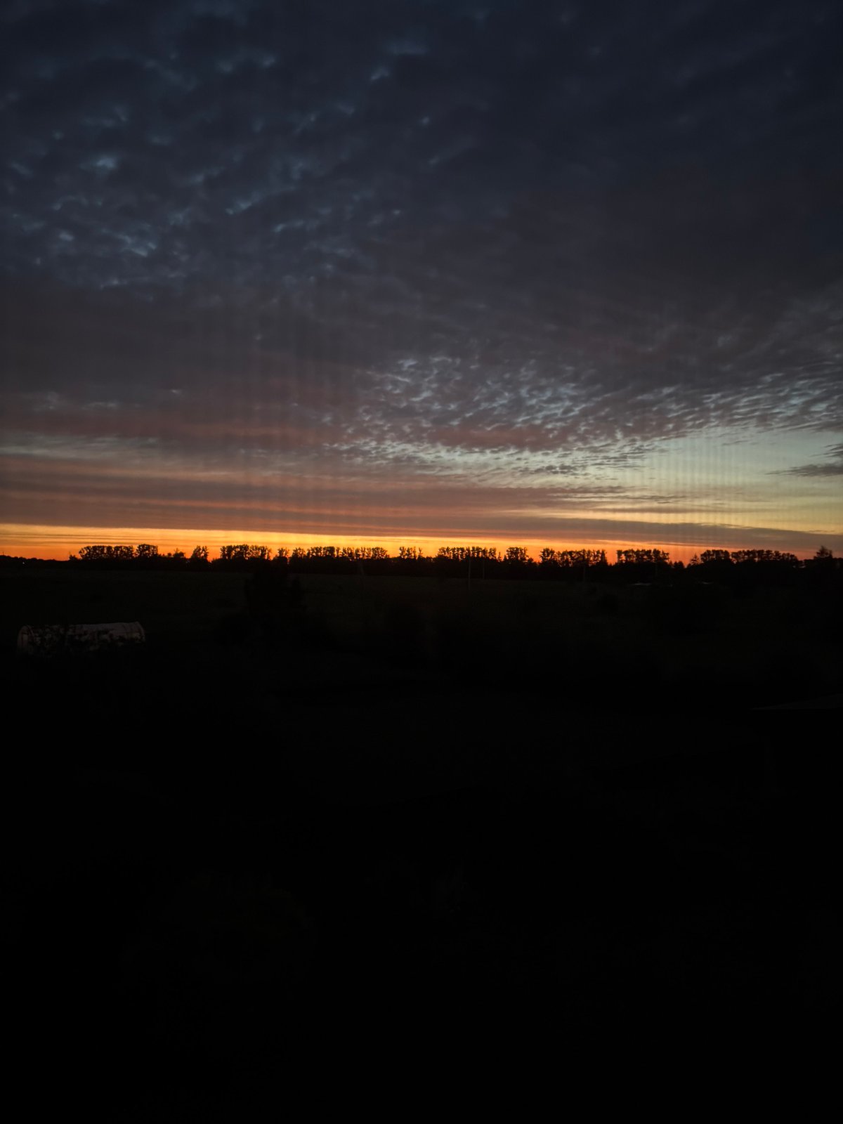 Orange glow and cloud-heavy sky over a Russian treeline