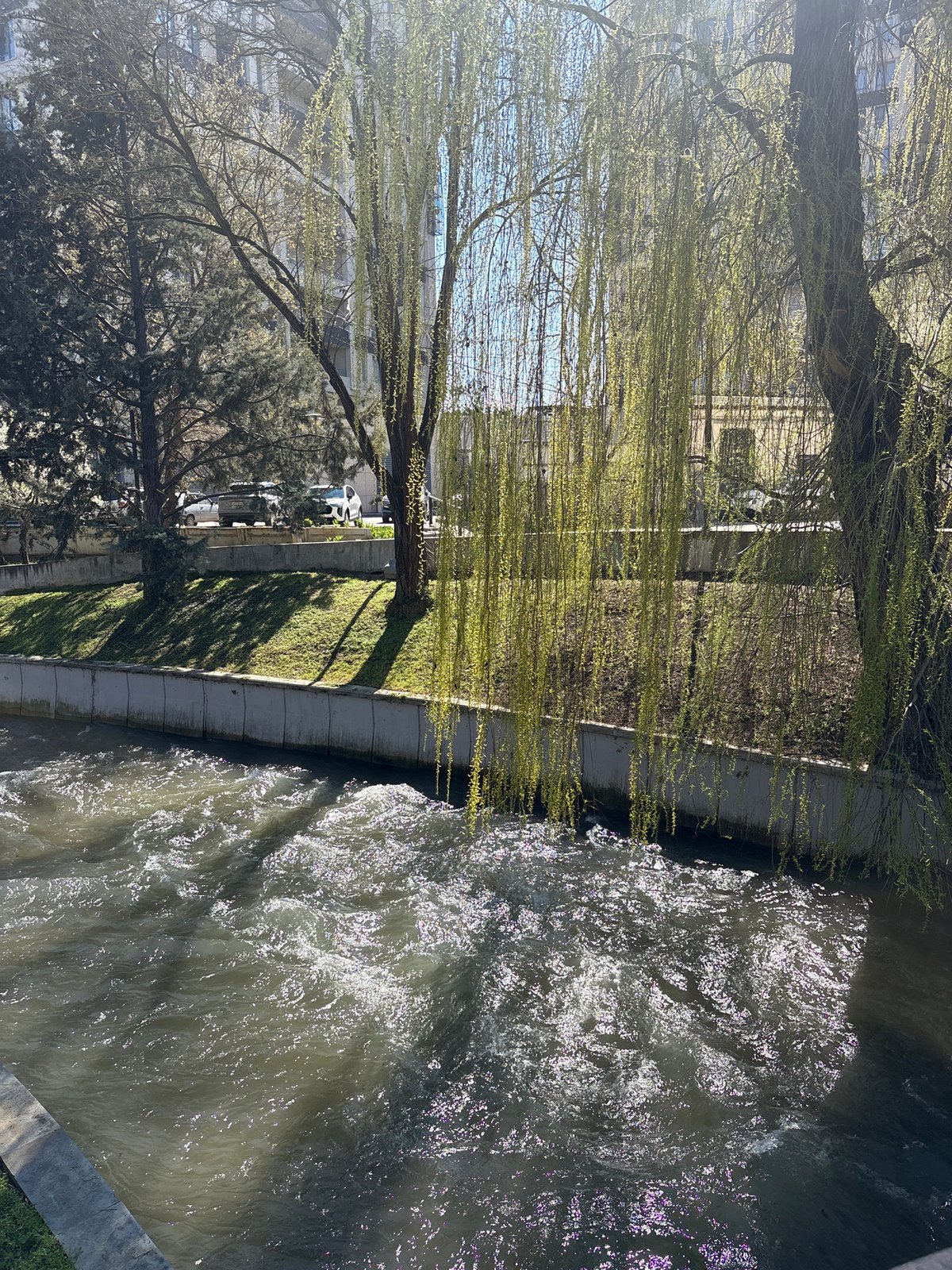 Morning walk documented through central Simferopol's urban landscape