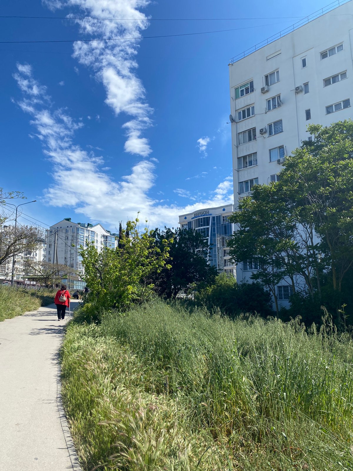 Sevastopol resident documents spring afternoon walk with flowers and selfies