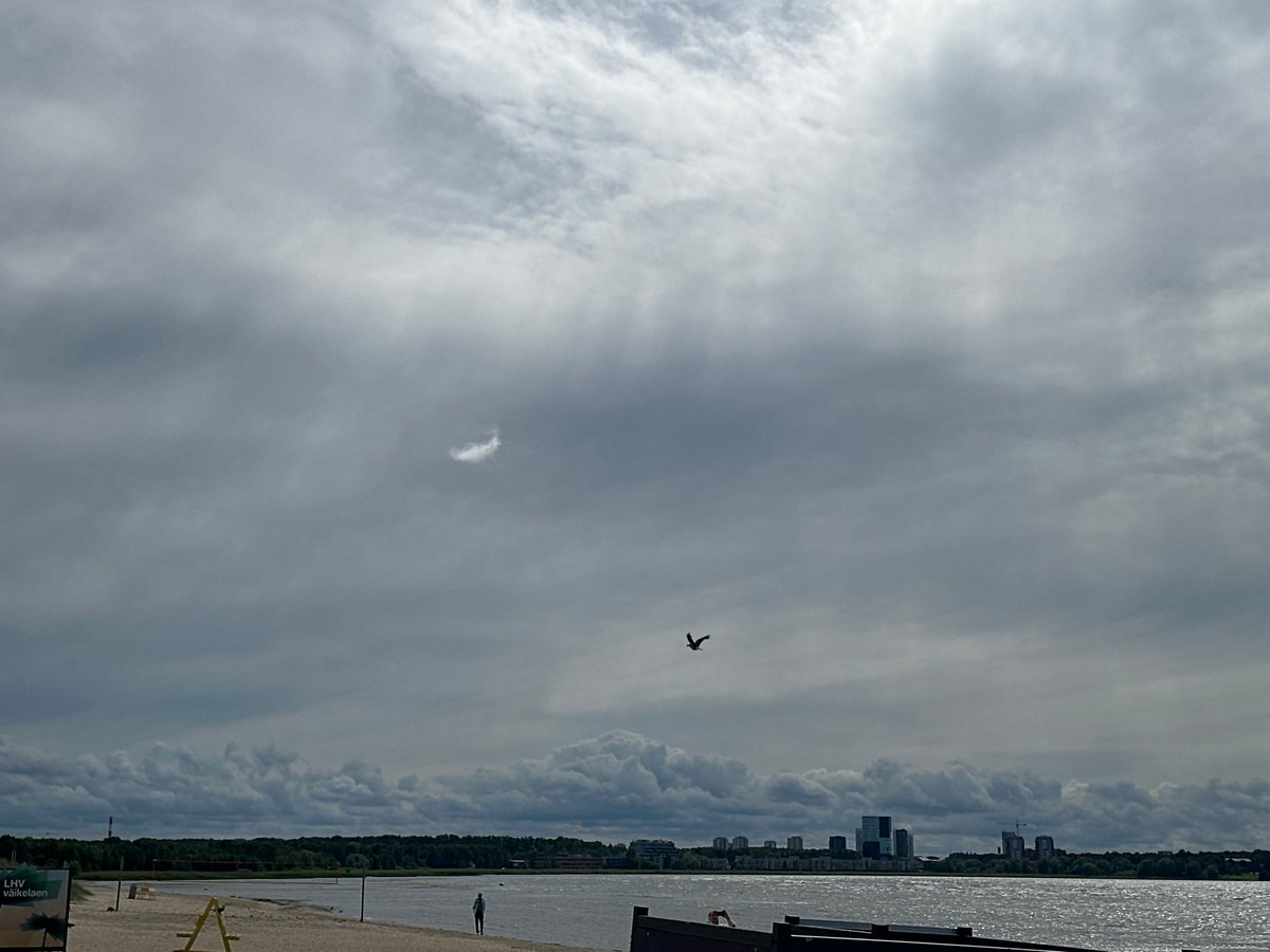 Ordinary beach day documented along Tallinn Bay coastline