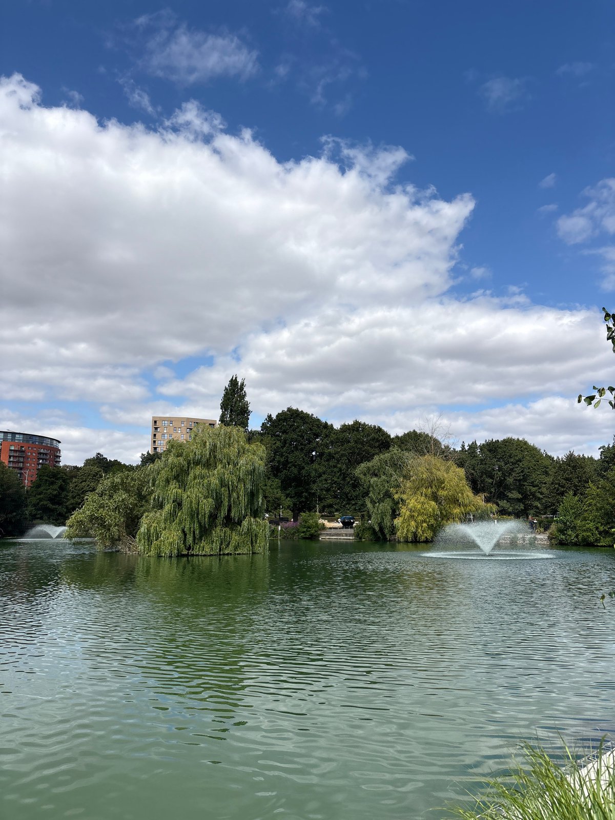 Lazy afternoon at a Chelmsford park lake and gardens