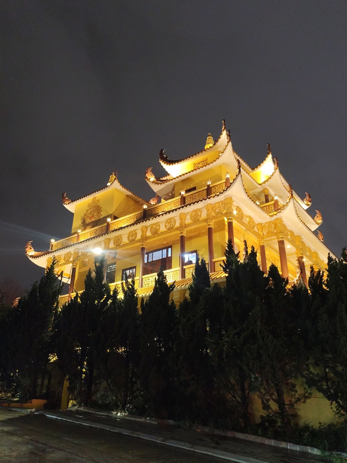 Tourist documents Da Lat's gardens and illuminated architecture