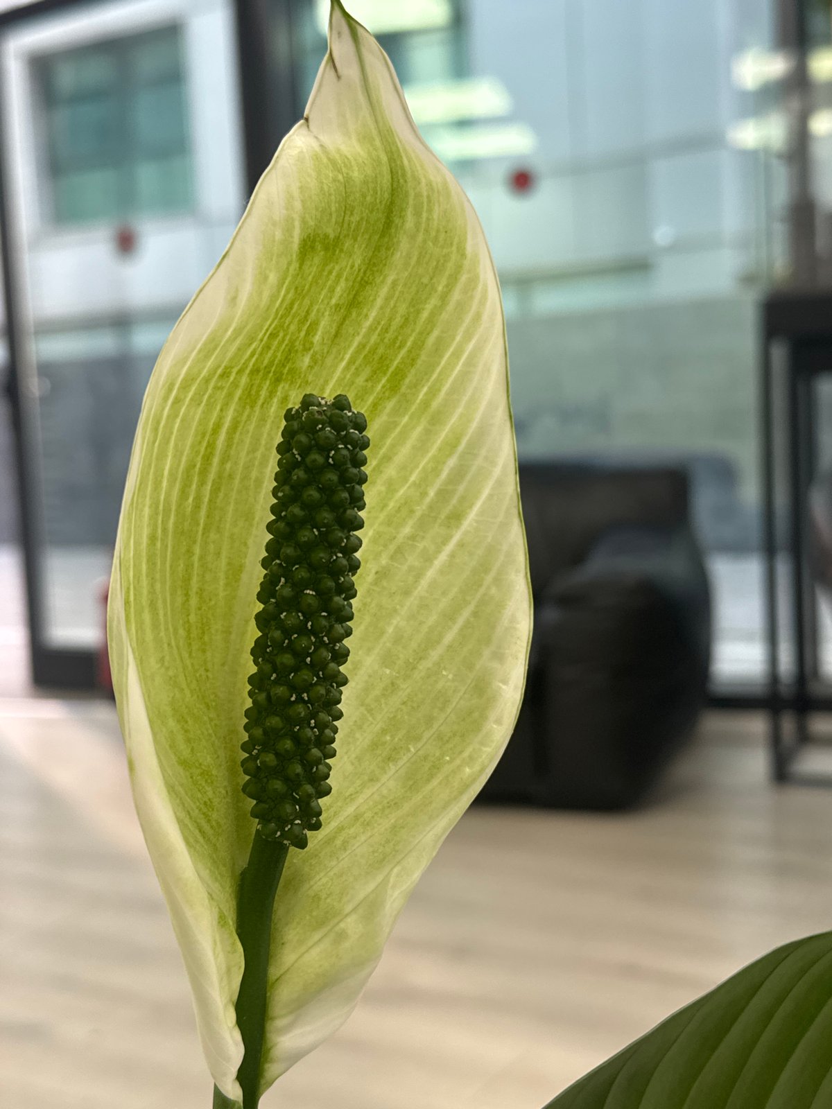 Indoor scenes documented in Tel Aviv building