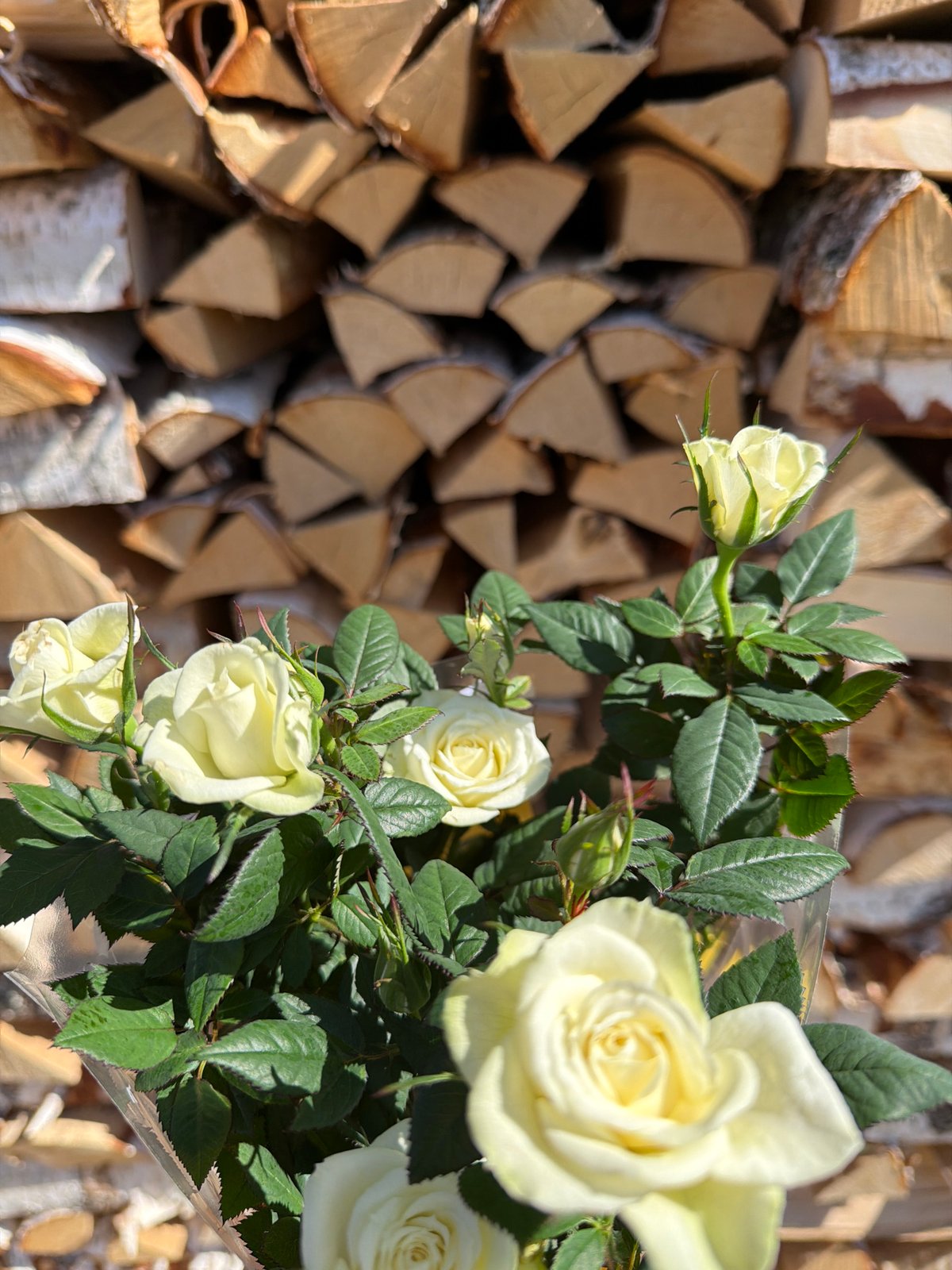 Family spring gardening session documented in Chaikovsky, Russia