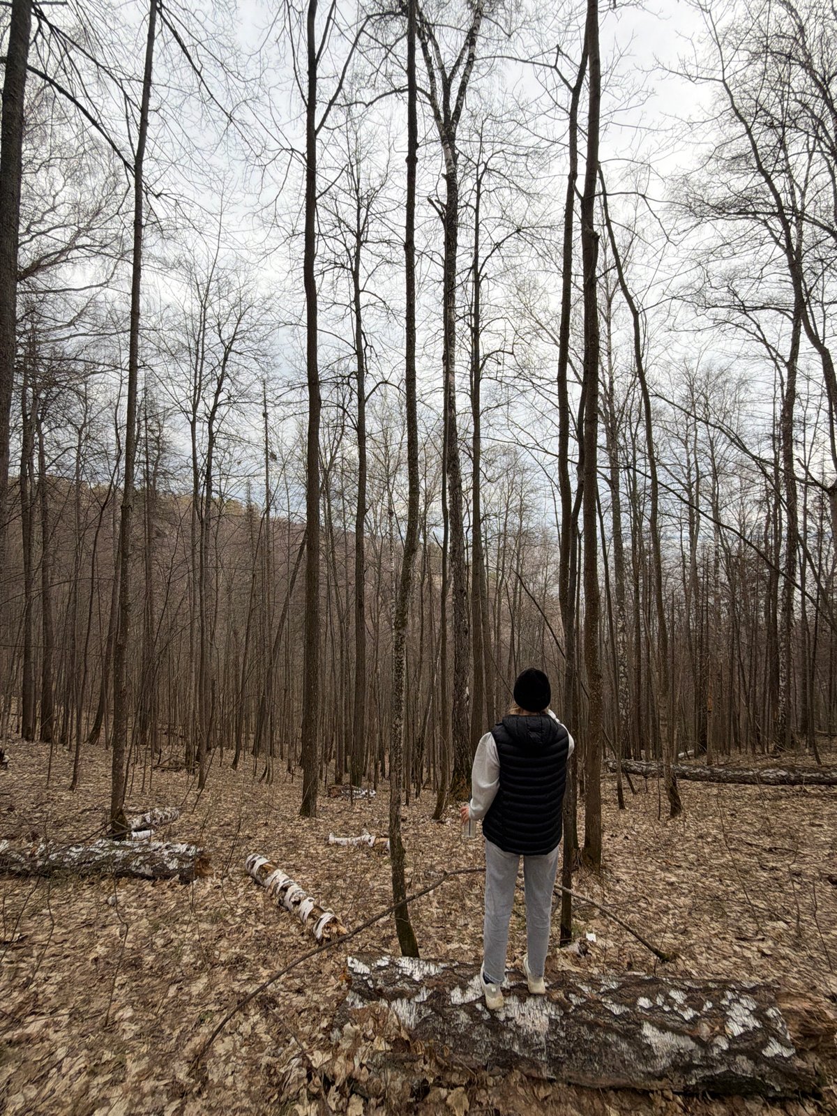 Person spotted in forest near Novyi, Russia