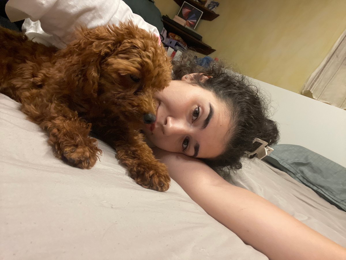 Woman shares tender bedroom moments with curly-haired dog in Sofia