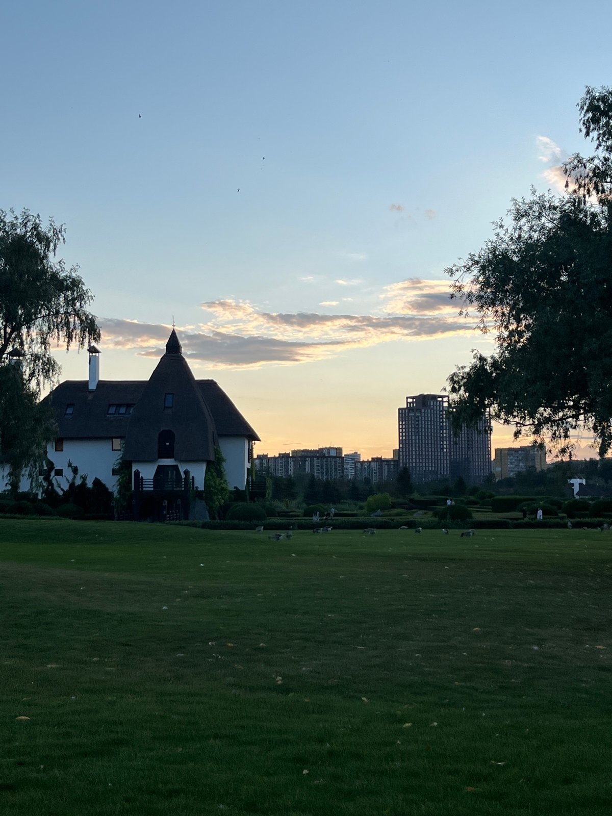 Dusk at Dnipro's waterfront park: peacocks, boats, and golden light