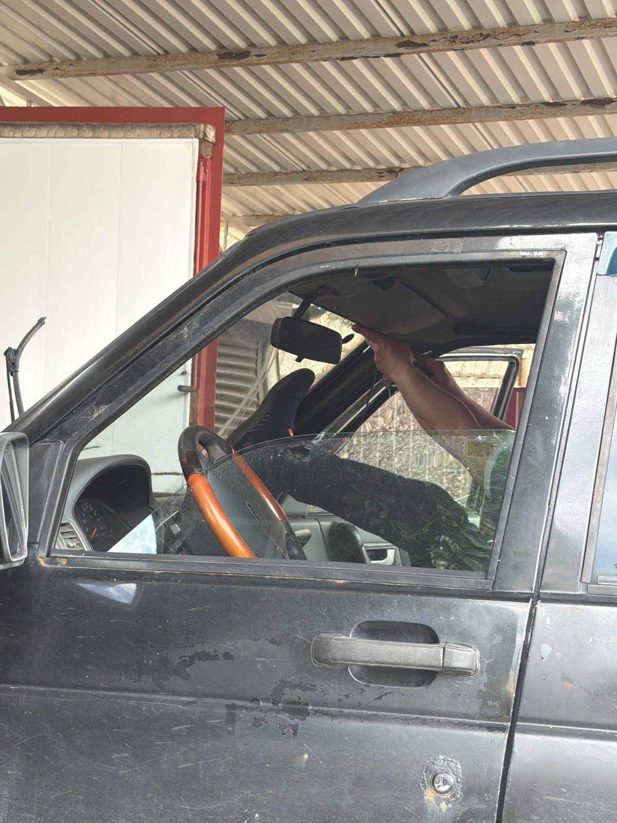 Woman plays with cats at Russian auto salvage yard