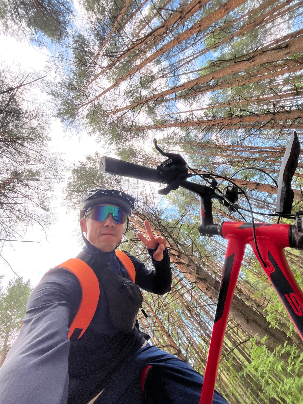 Cyclist documents forest ride through pine trails near Chaikovsky