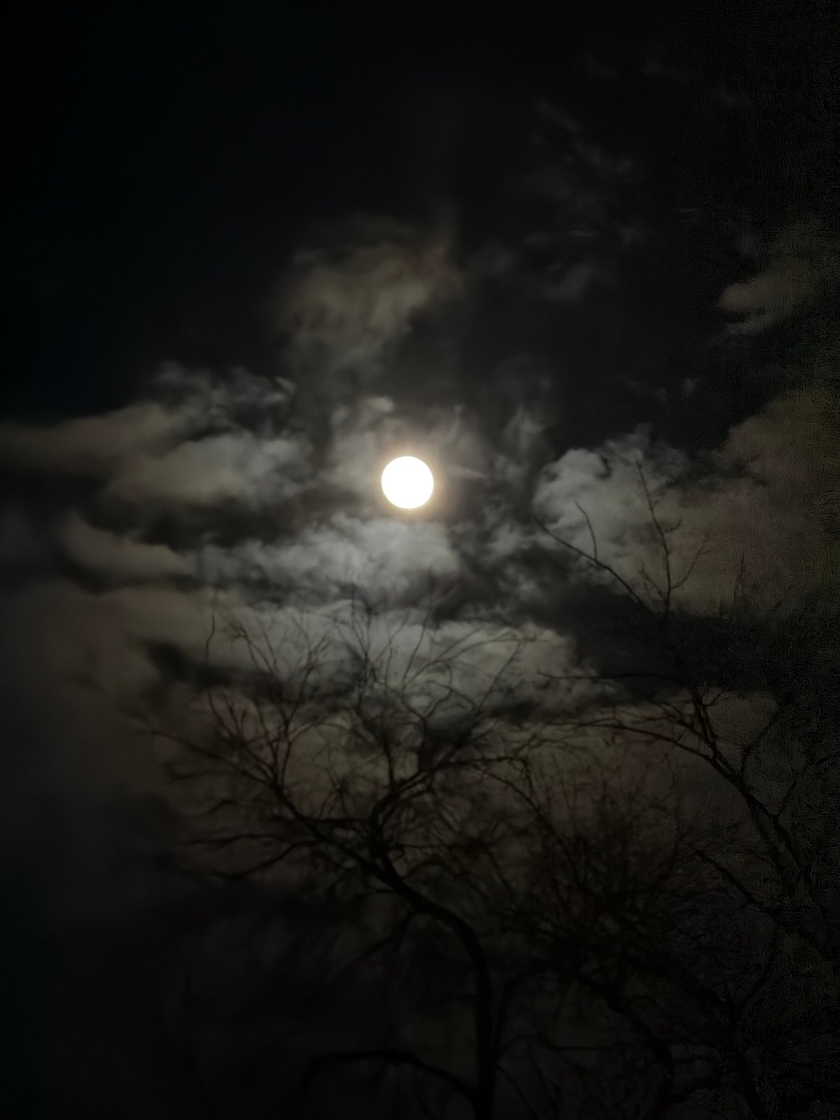 Nighttime scenes captured in Voronezh featuring moon and shopping mall