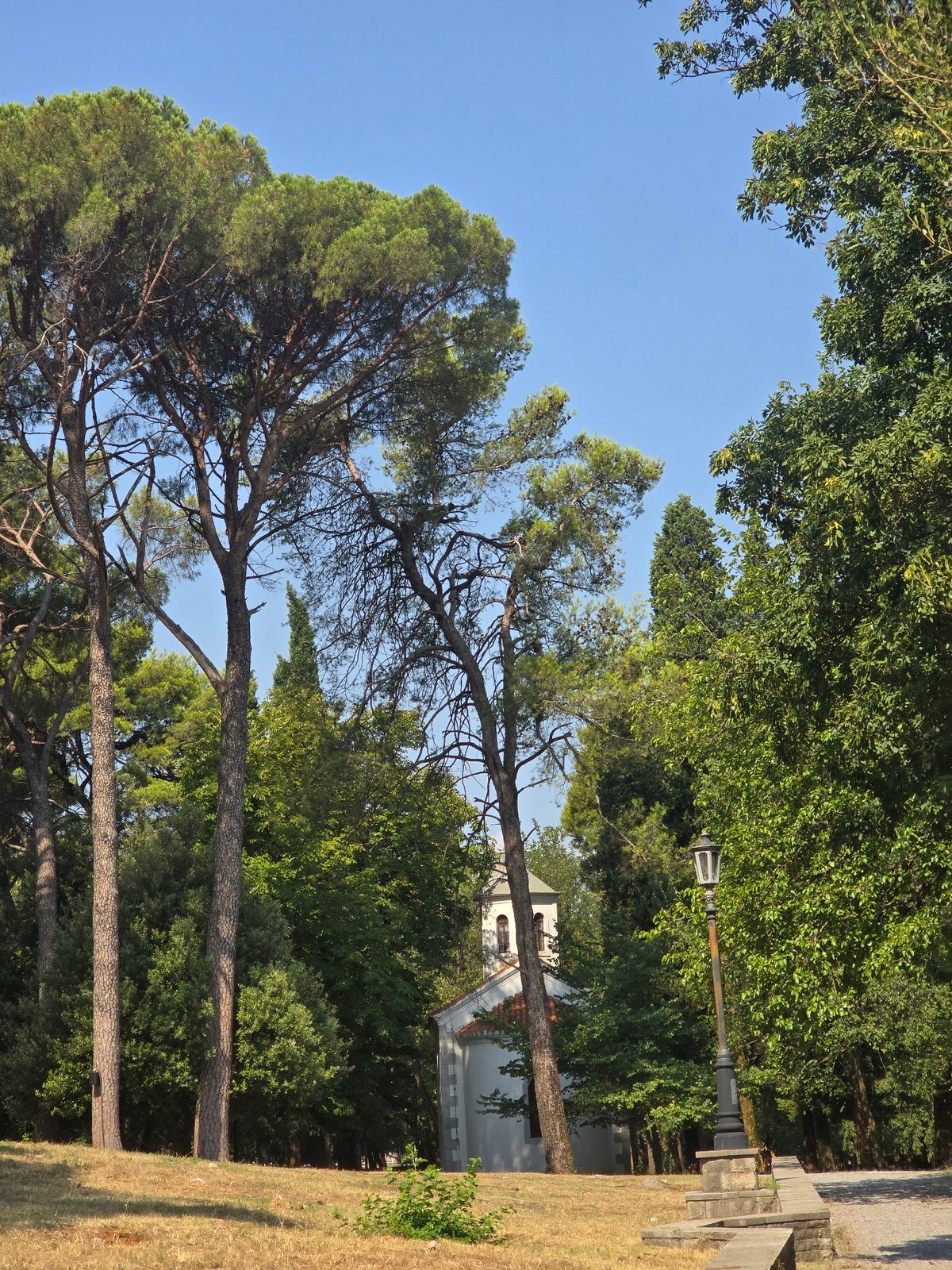 Dog walk through an ornate historic park with a chapel