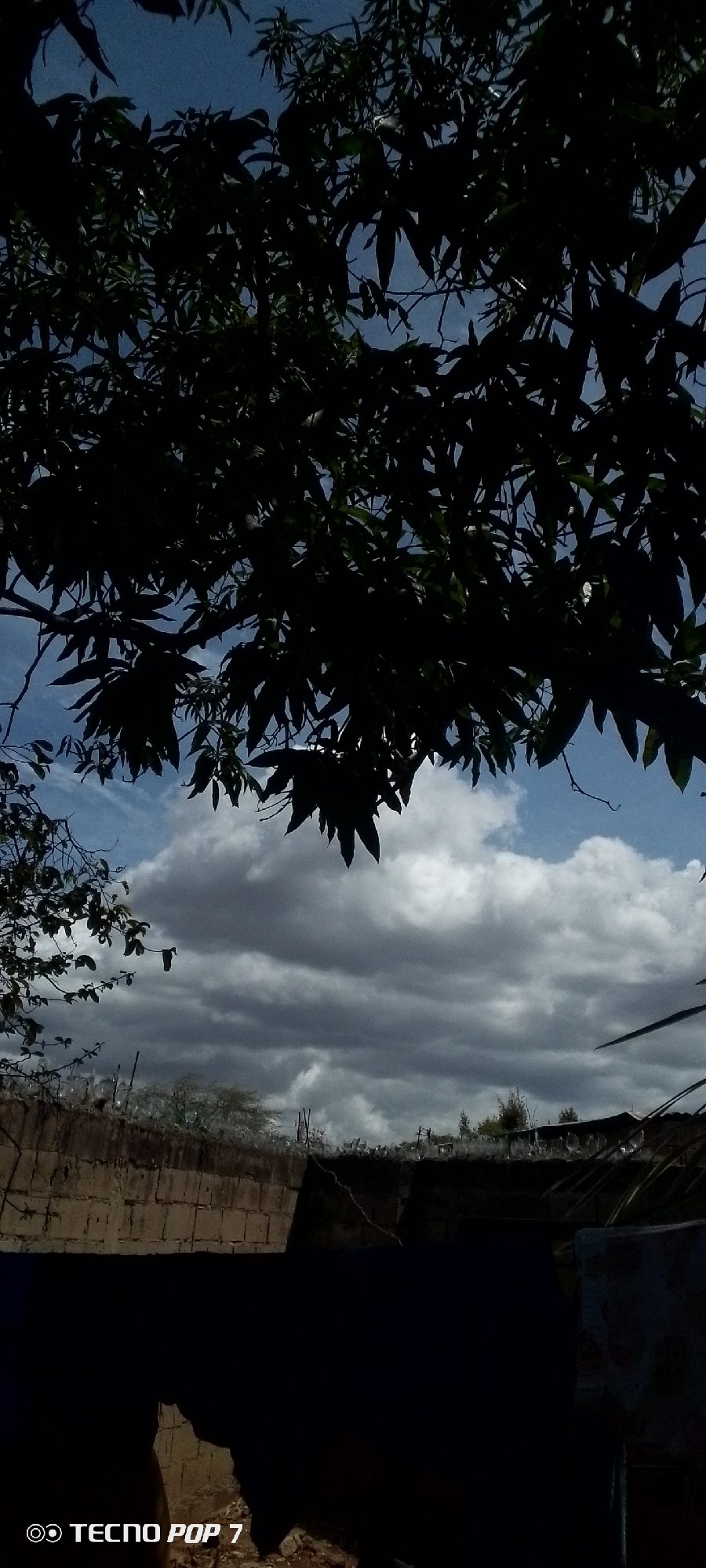 Photographer documents trees, sky, walls in Altagracia, Venezuela
