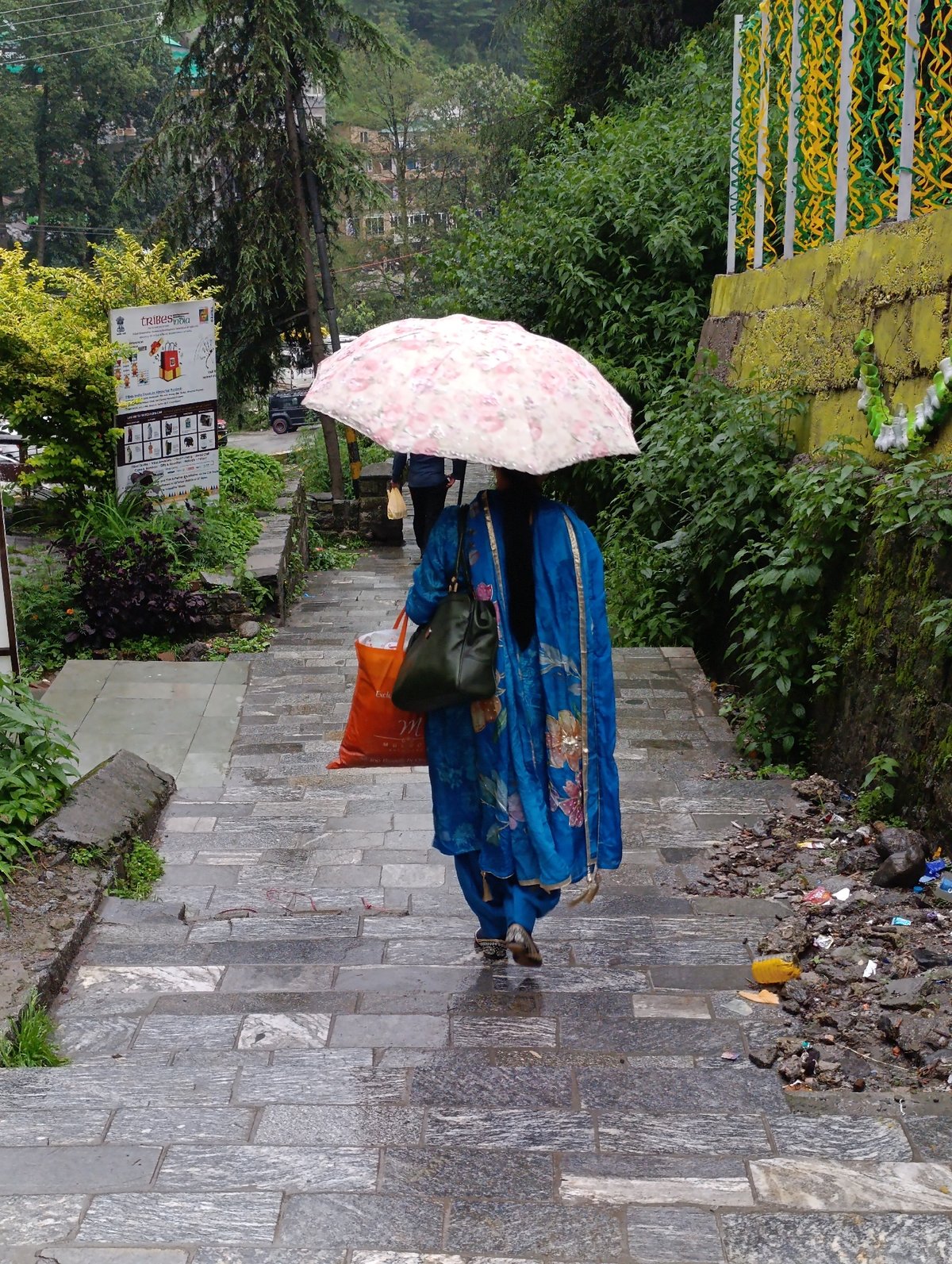 Rainy day street life in Manali, umbrellas and a resting dog