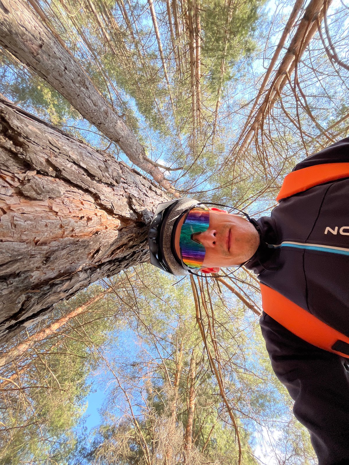 Cyclist Takes Upside-Down Forest Selfies in Chaikovsky
