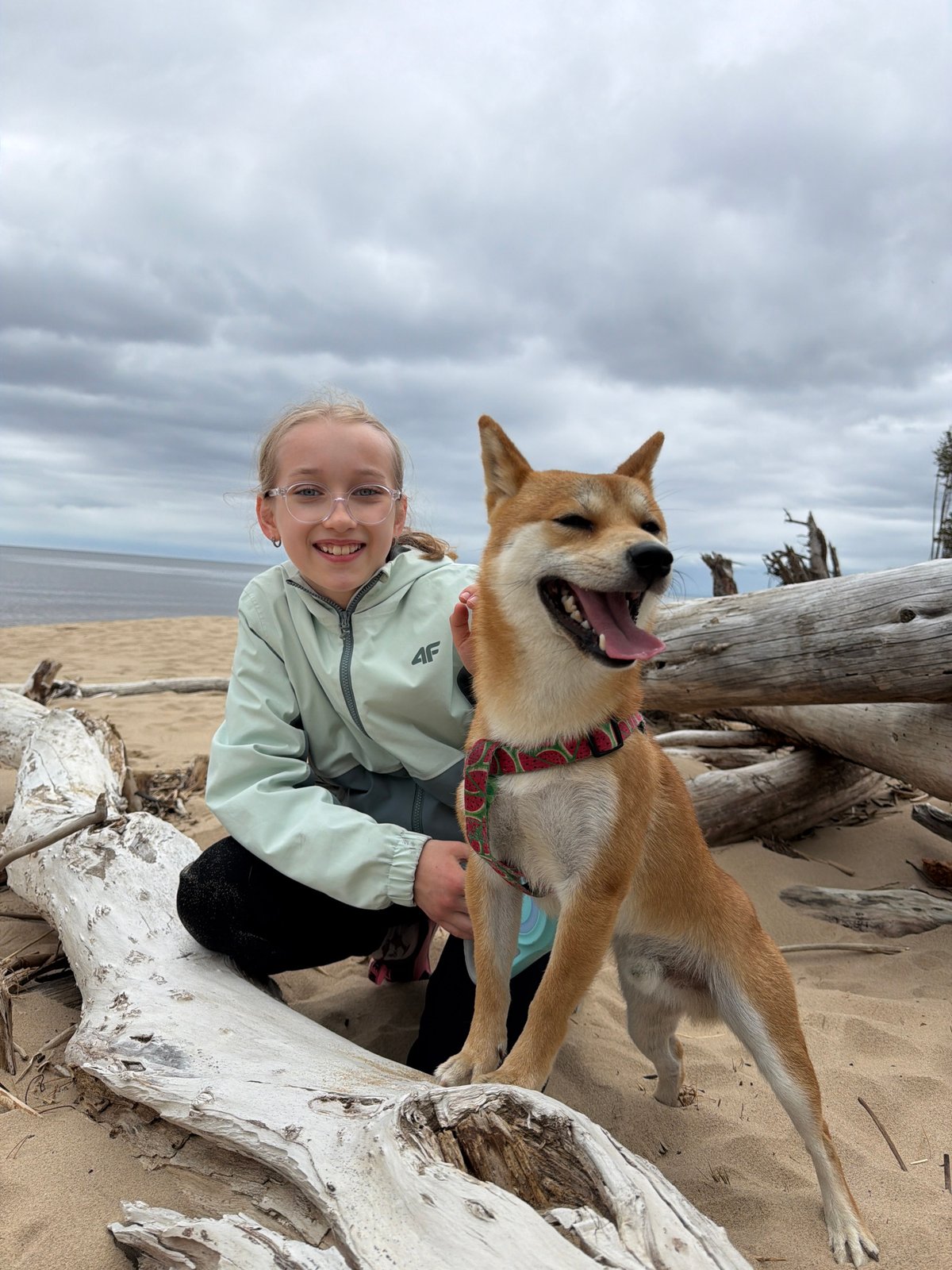 Beach photo session with dog captured in Carnikava Latvia