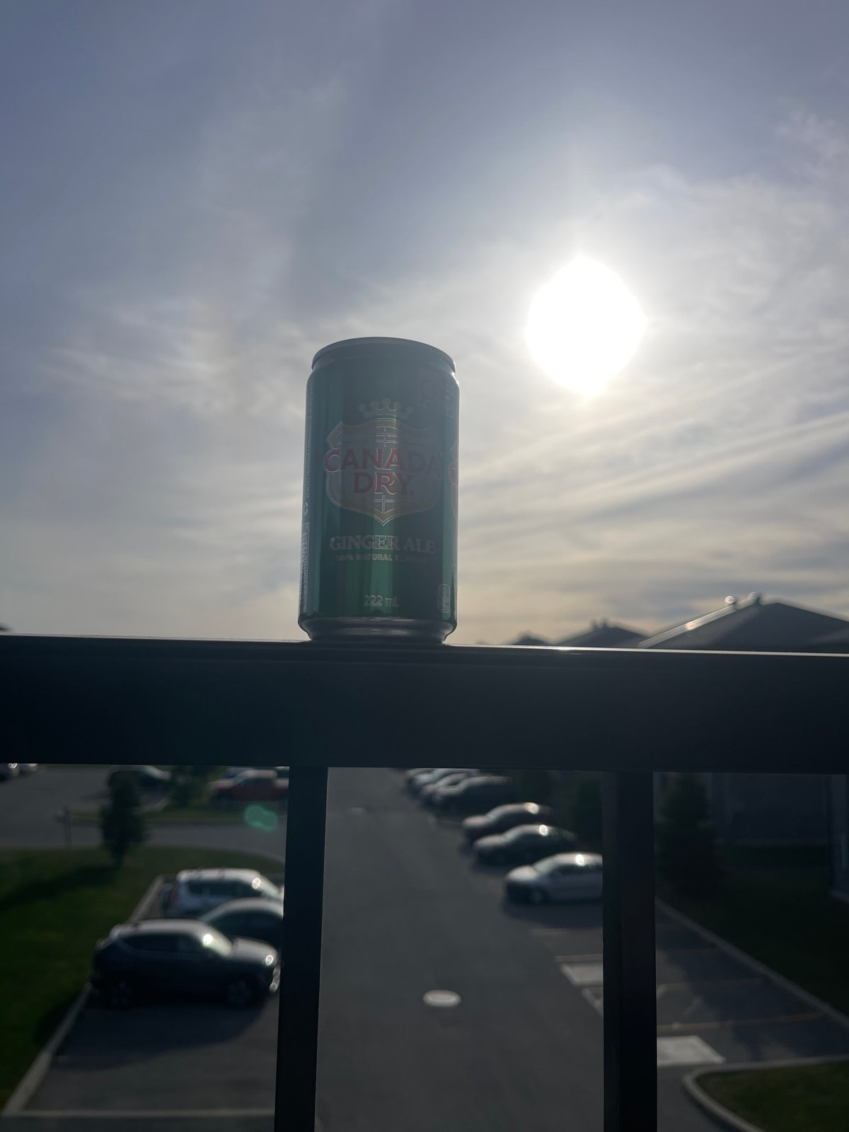 Ginger ale can spotted on railing in Gatineau