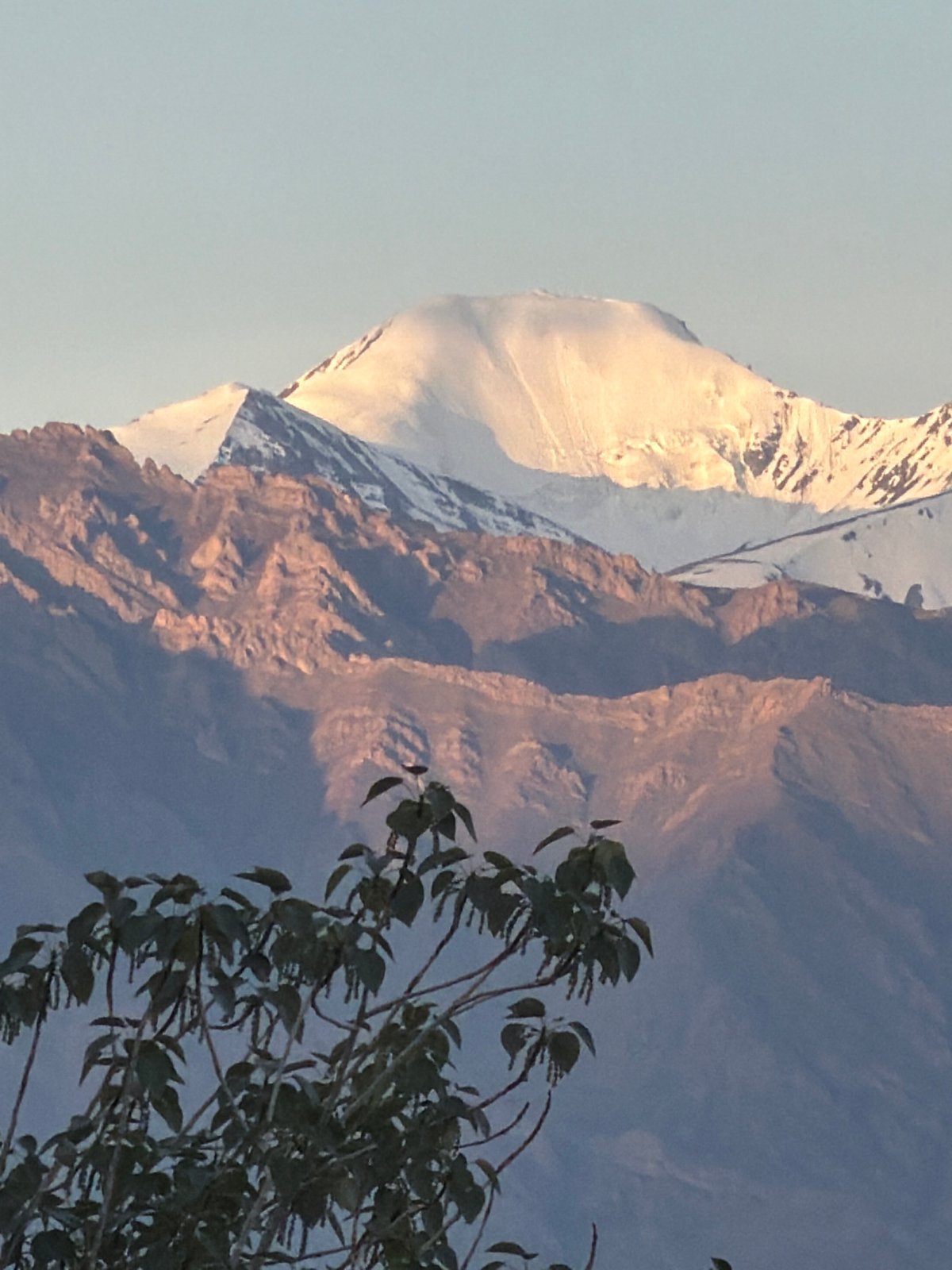 Leh at dusk: palaces, peaks, and golden-hour rooftops