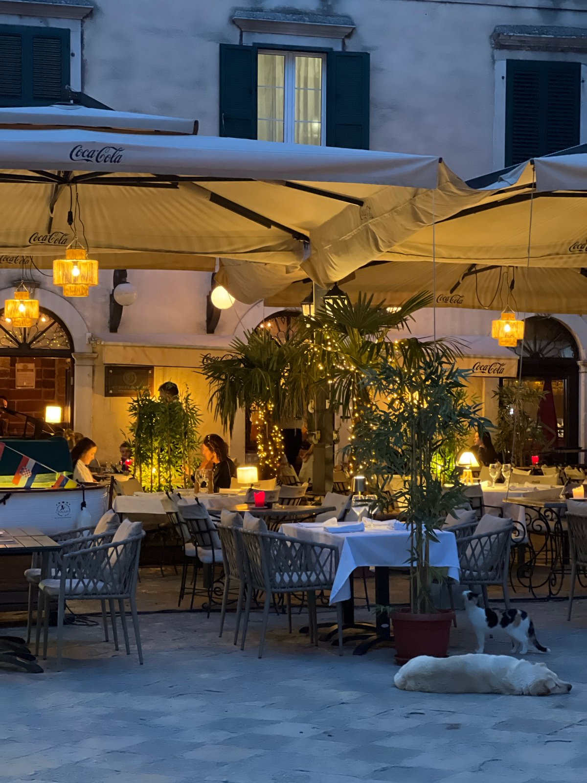 Evening stroll through historic Kotor captures local shops and architecture
