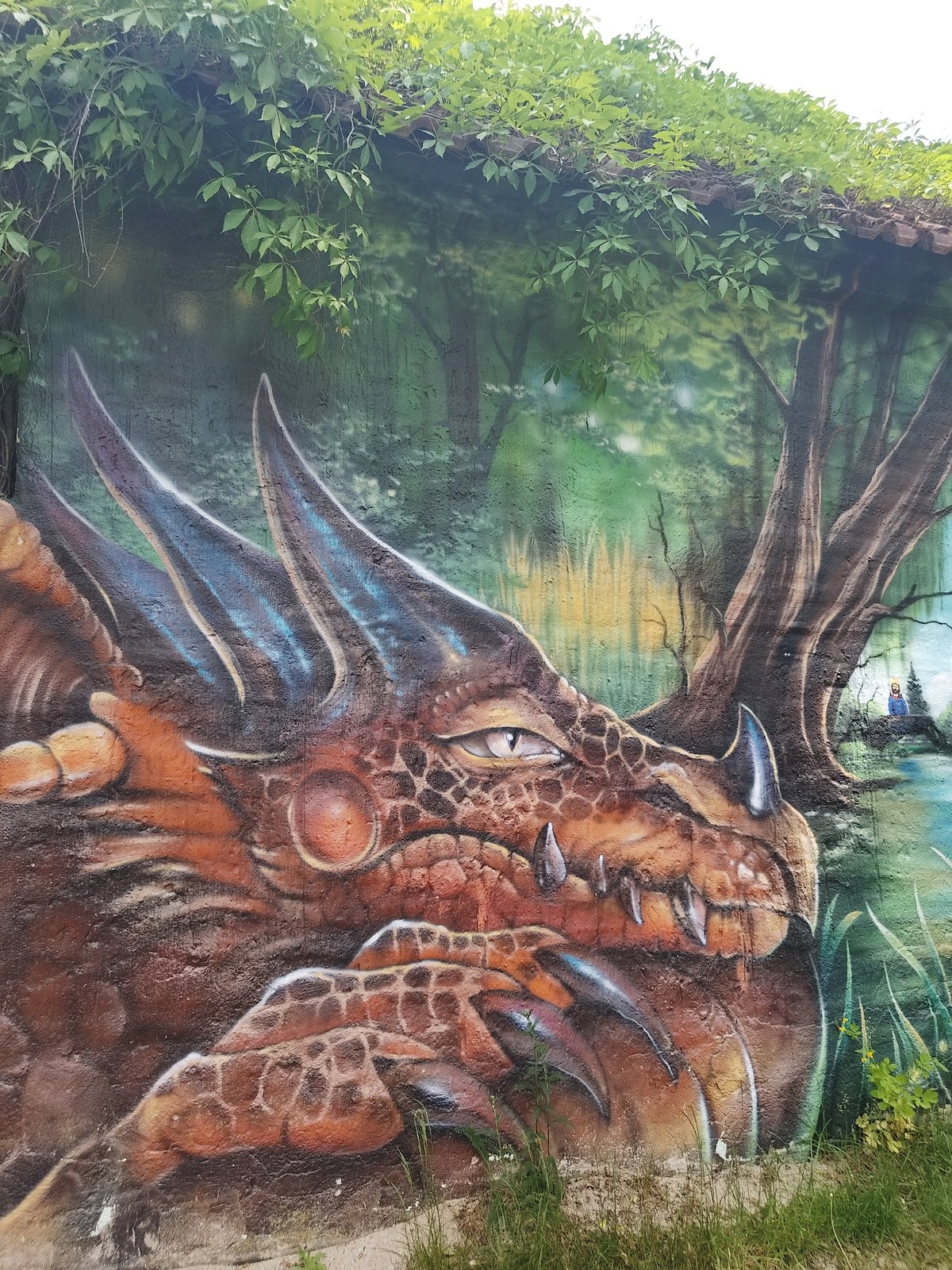 Street art and urban murals documented across unknown city