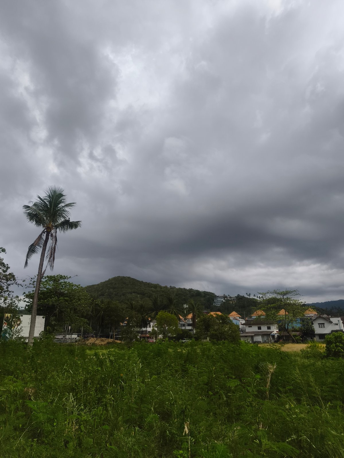 Morning snapshots capture everyday life in Baan Mae Nam, Thailand