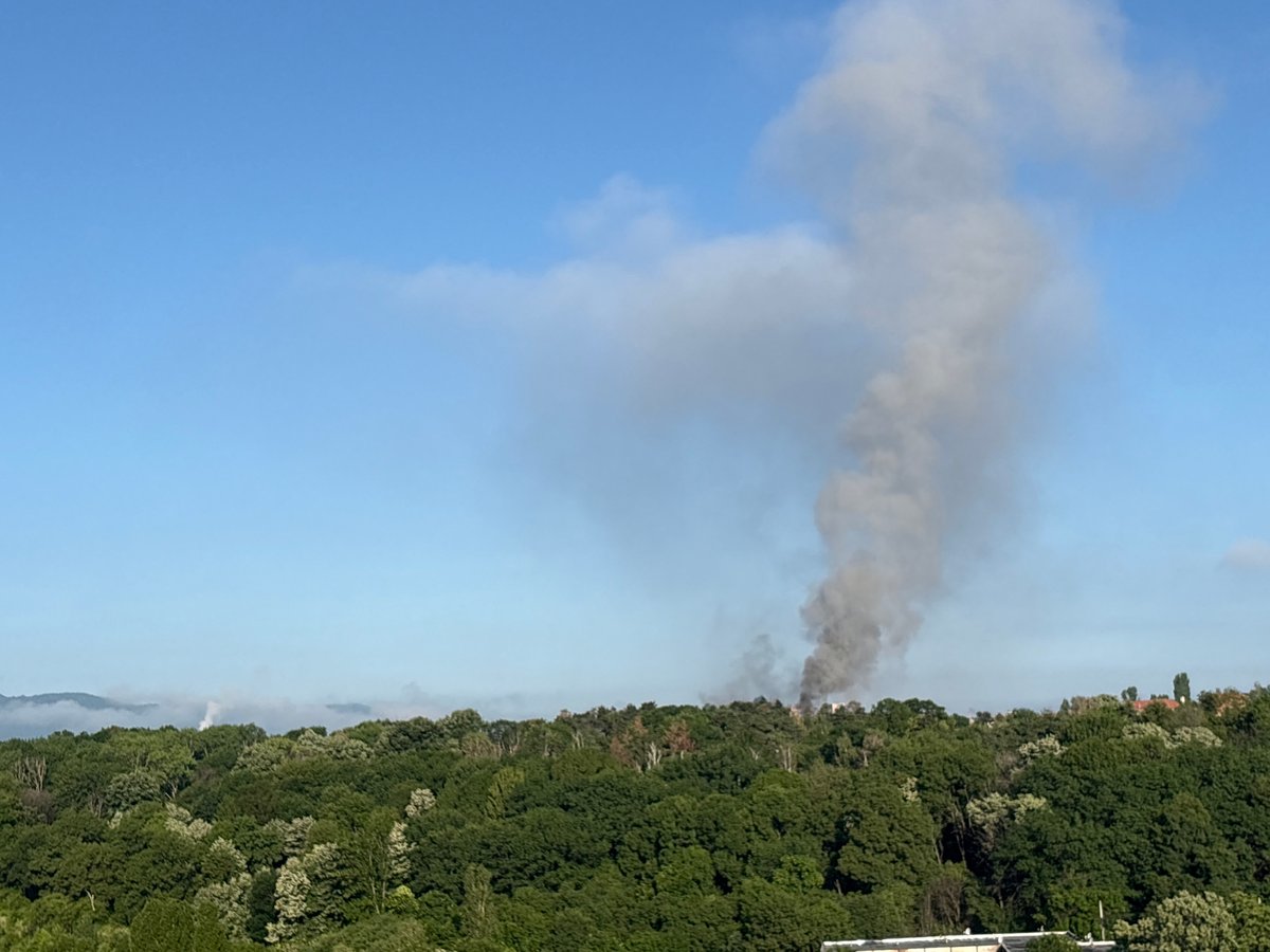 Dark smoke plume observed over Sofia forest area